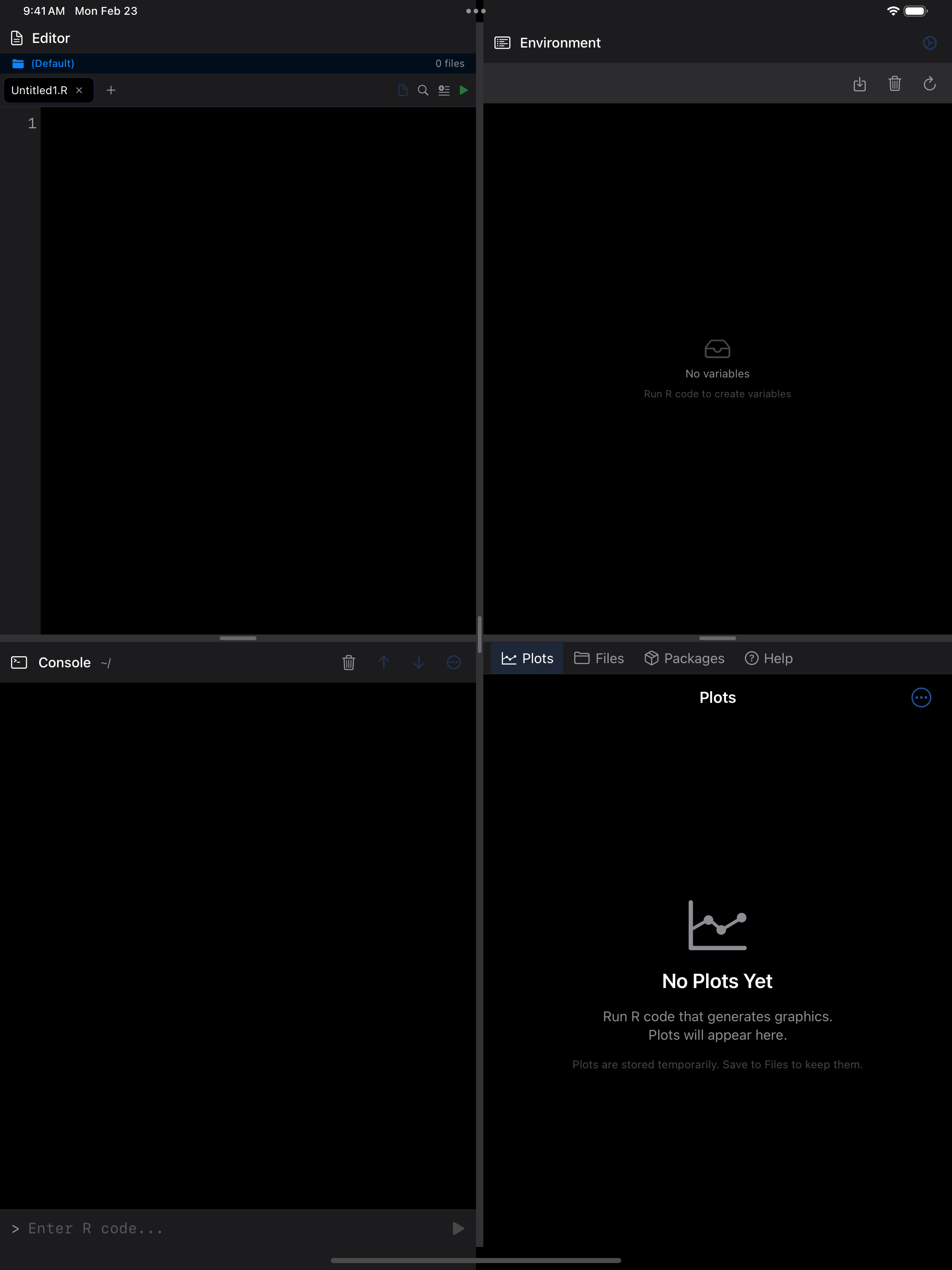 Empty console ready for input on iPad