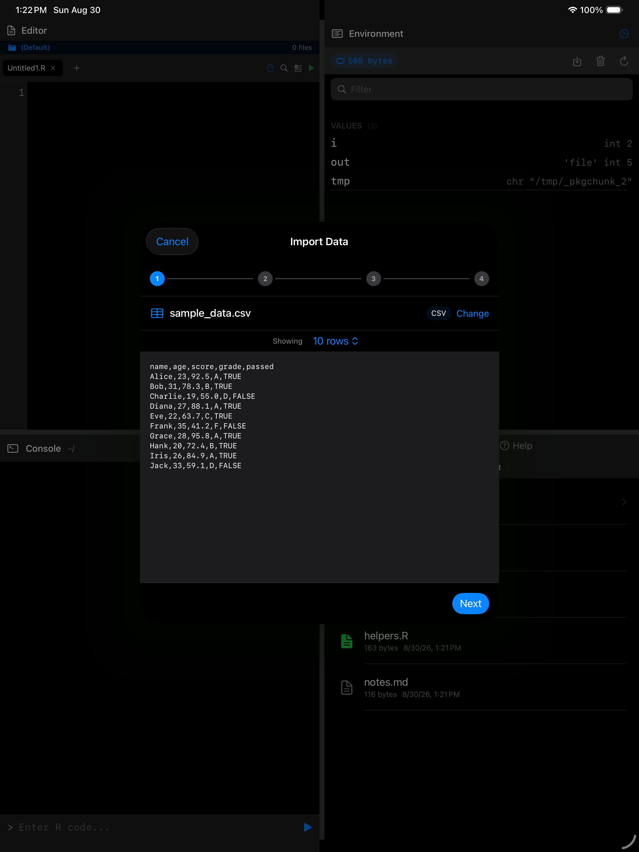 Wizard showing detected format, row count and raw preview on iPad in dark mode