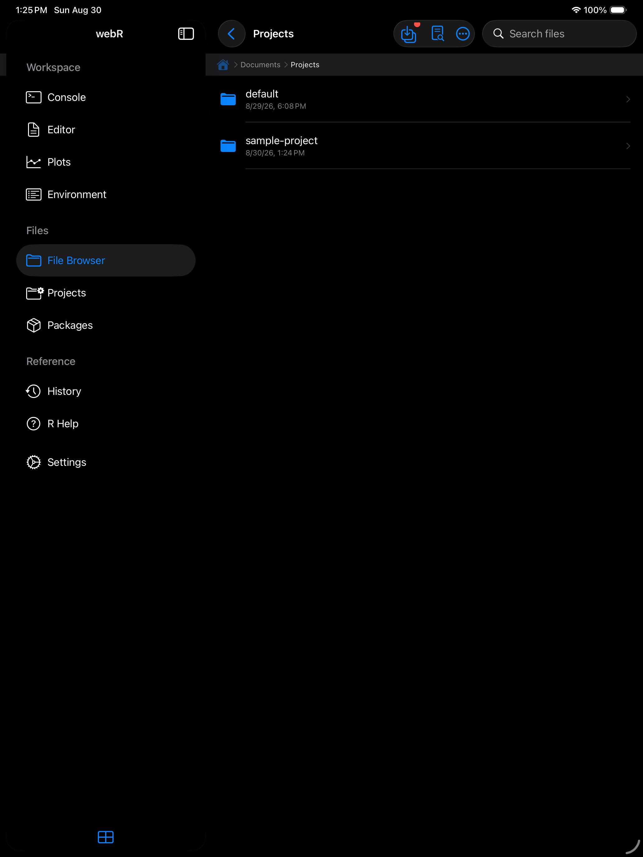 Documents Projects folder with one folder per project on iPad in dark mode