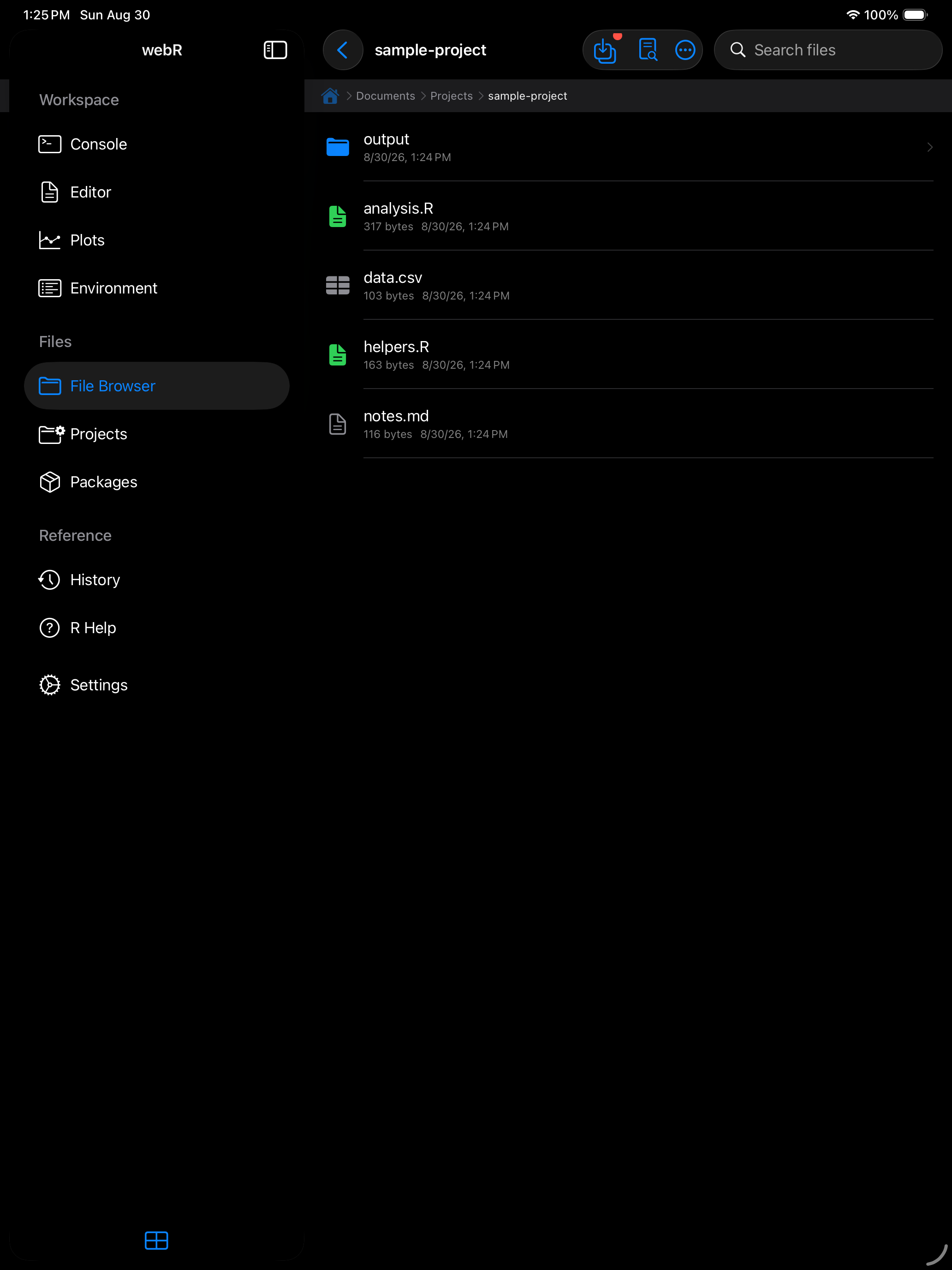 Contents inside a project folder showing scripts and data files on iPad in dark mode