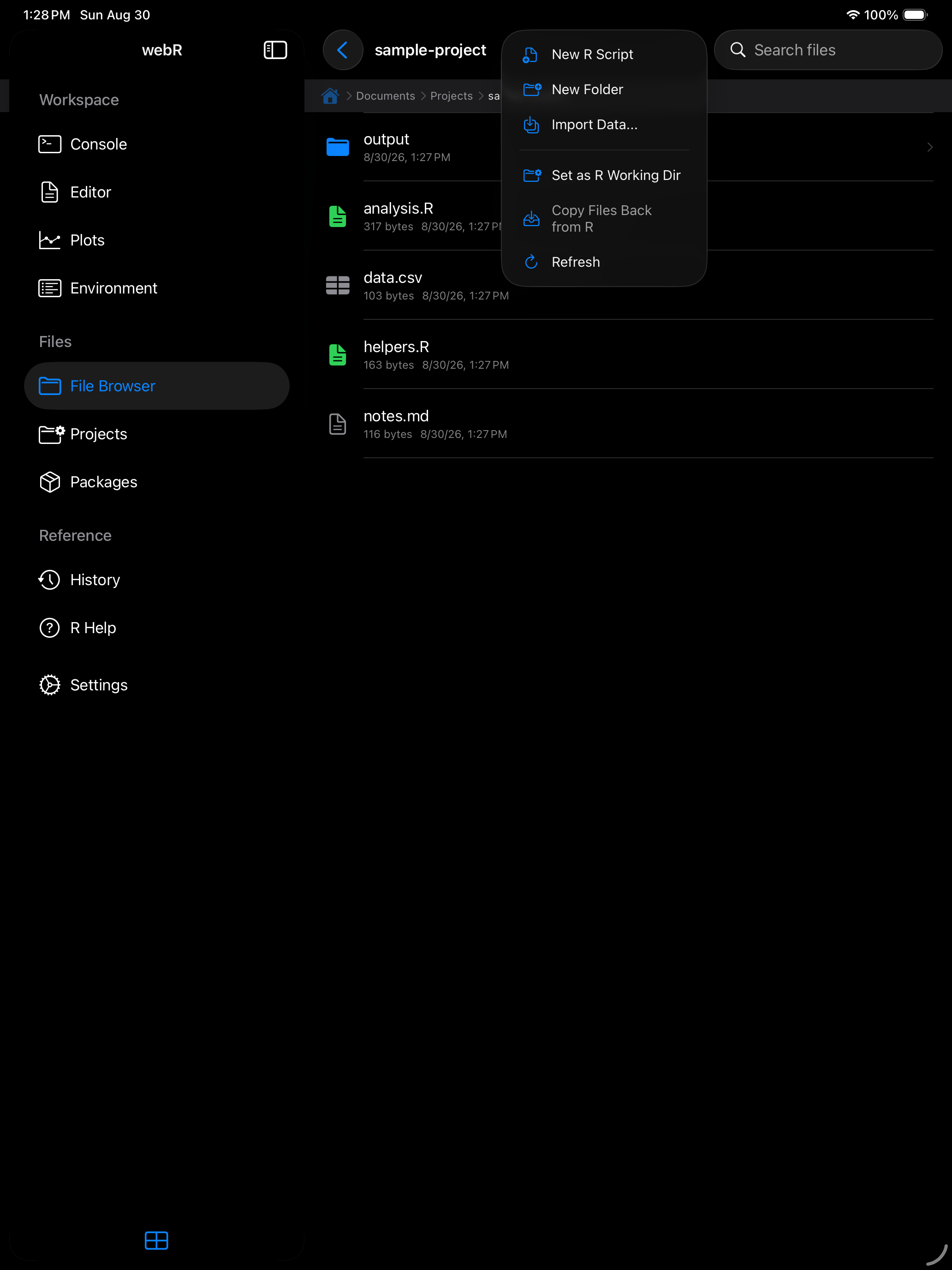 Files overflow menu showing Set as R Working Dir on iPad in dark mode