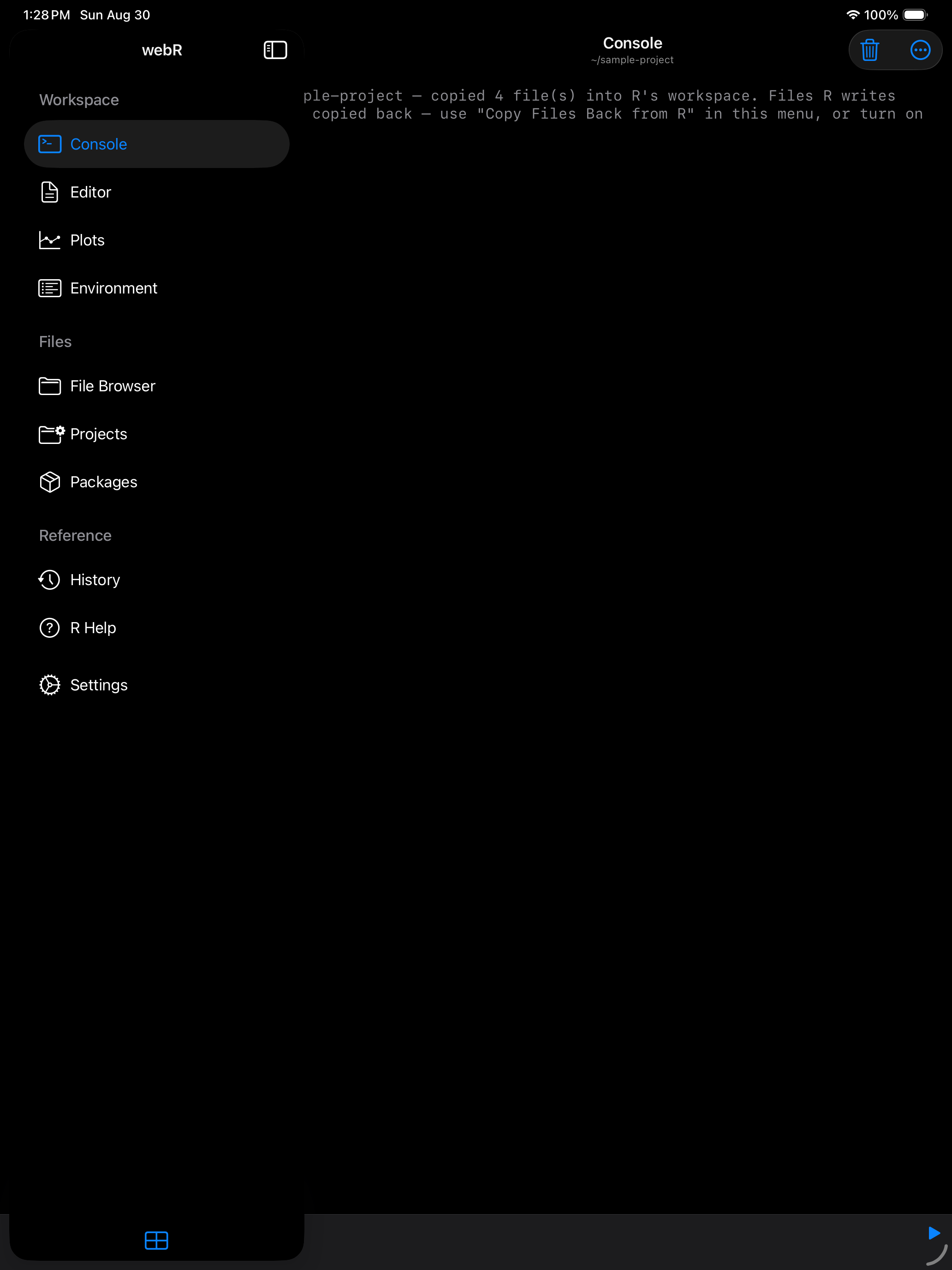 Console header showing the updated working directory on iPad in dark mode