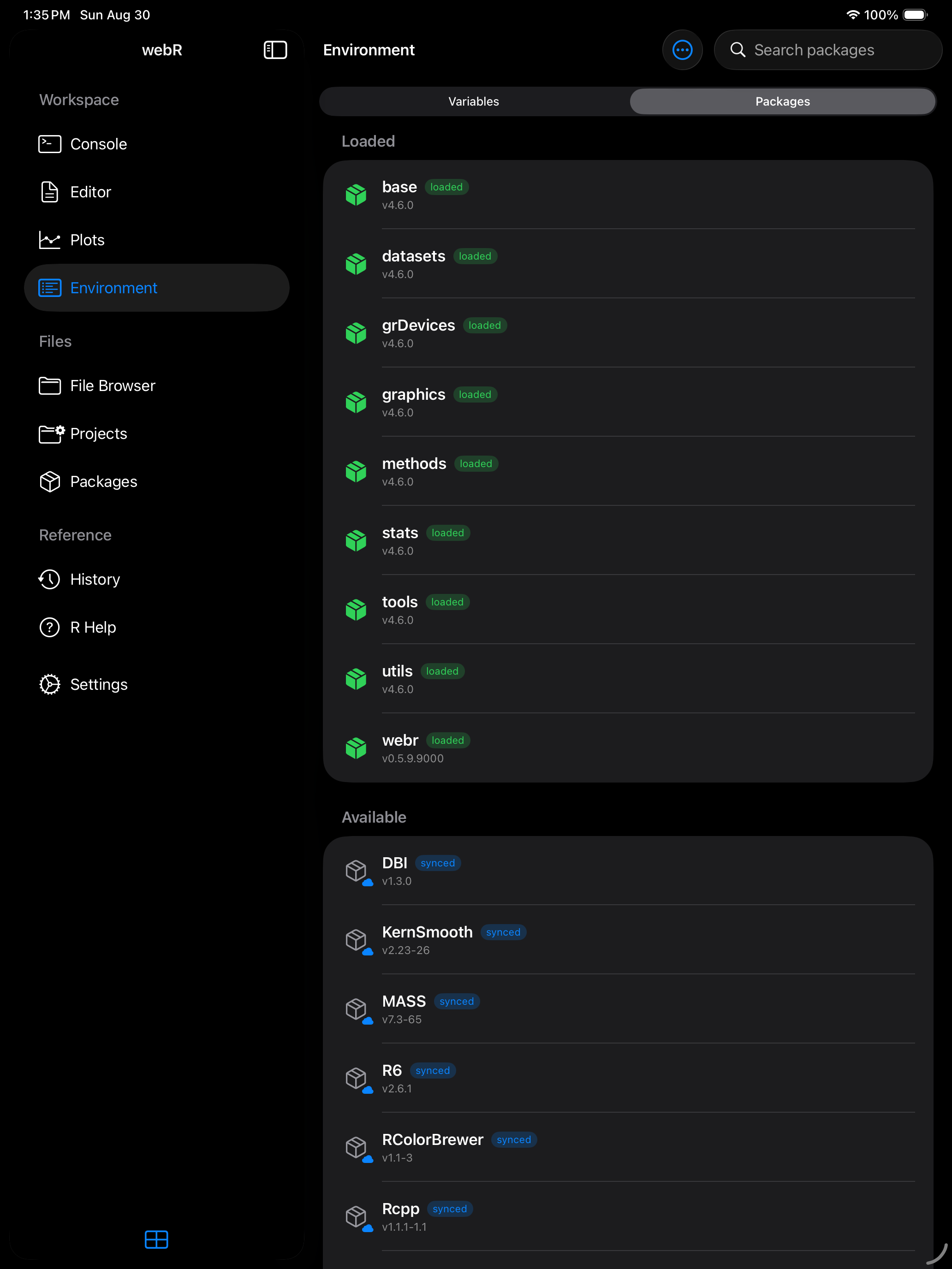 Loaded package with a green icon and loaded badge on iPad in dark mode