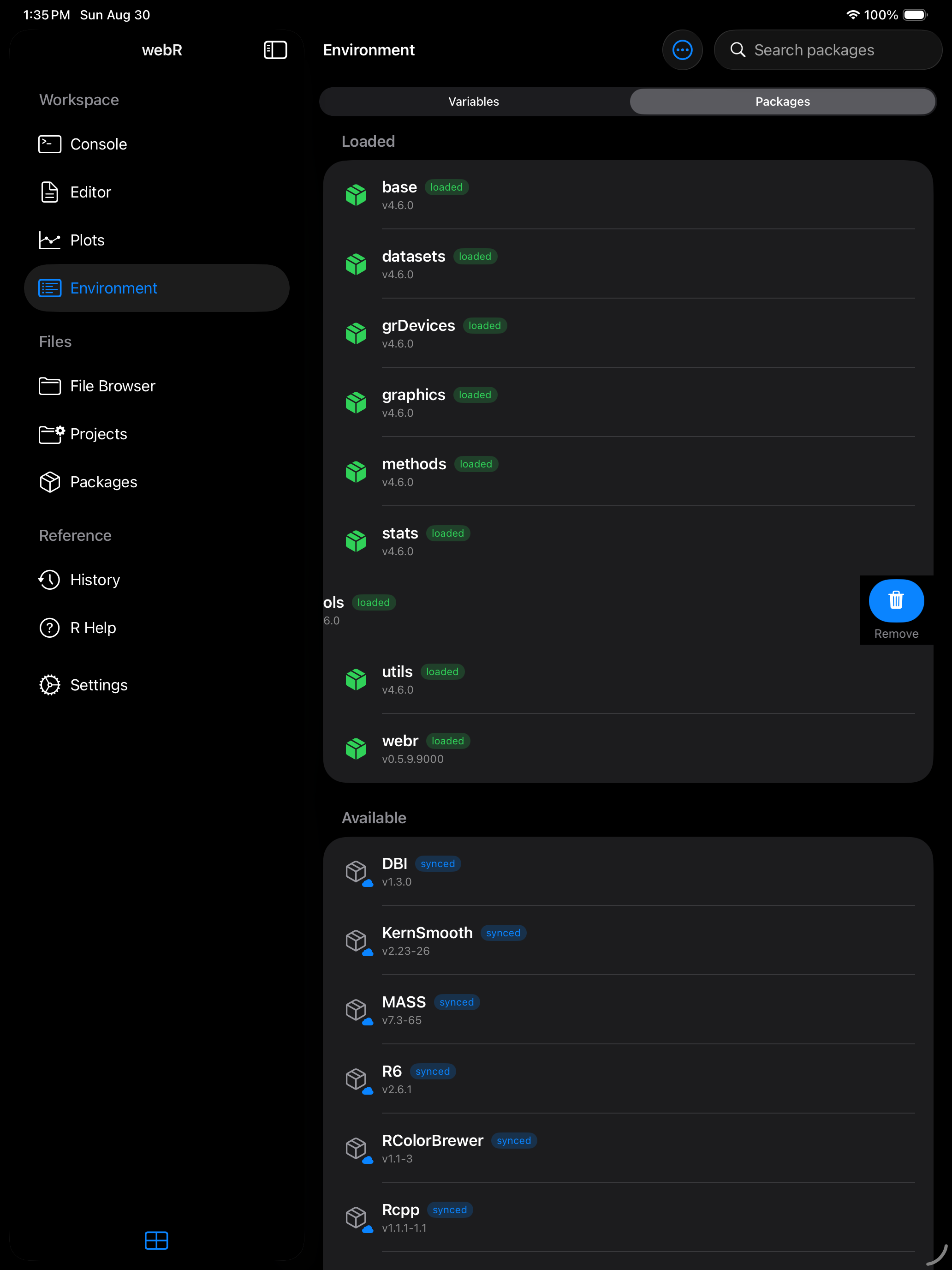 Package row swiped left revealing the Remove button on iPad in dark mode