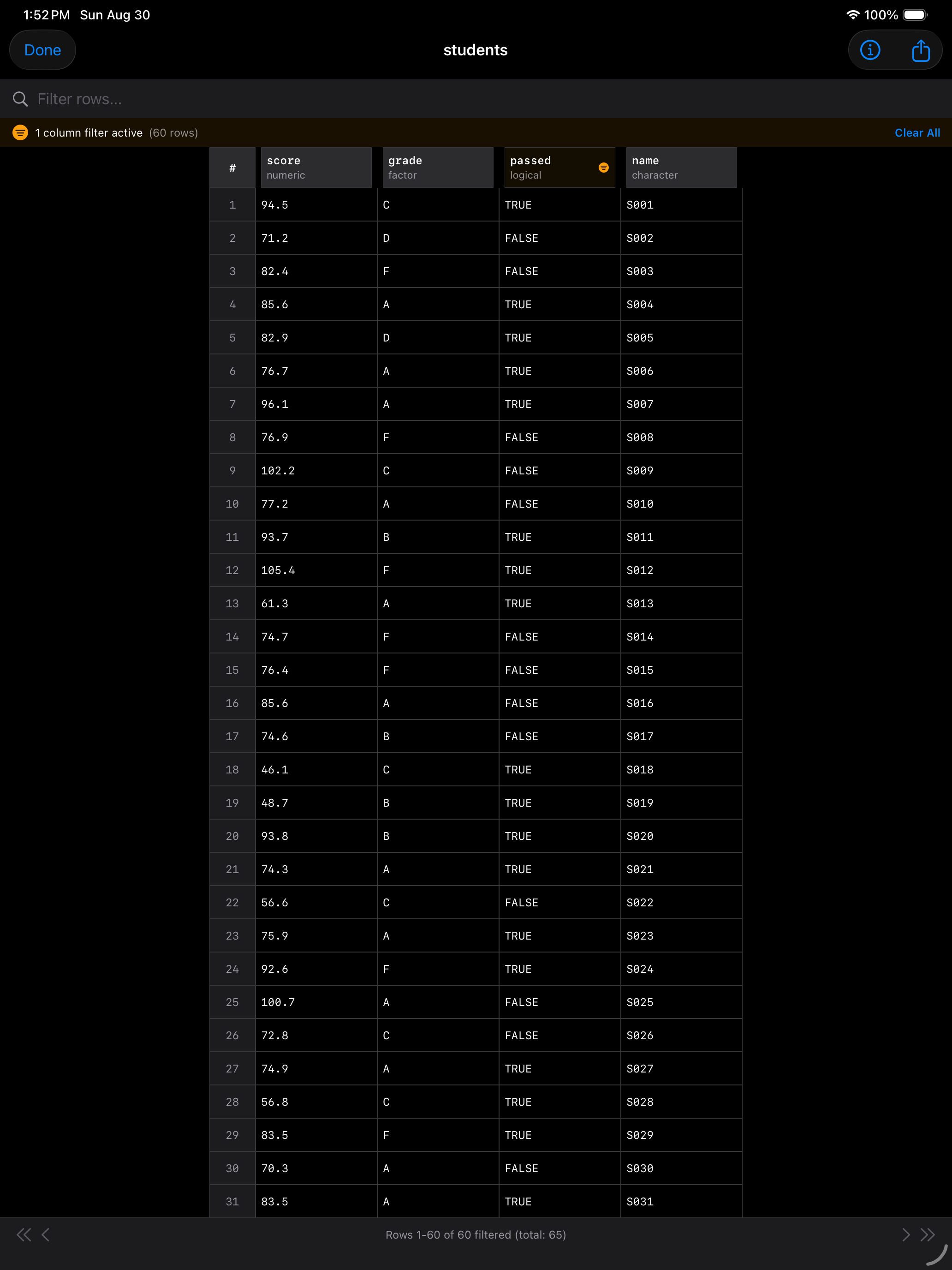 Data Frame Viewer showing the active filter status bar on iPad in dark mode