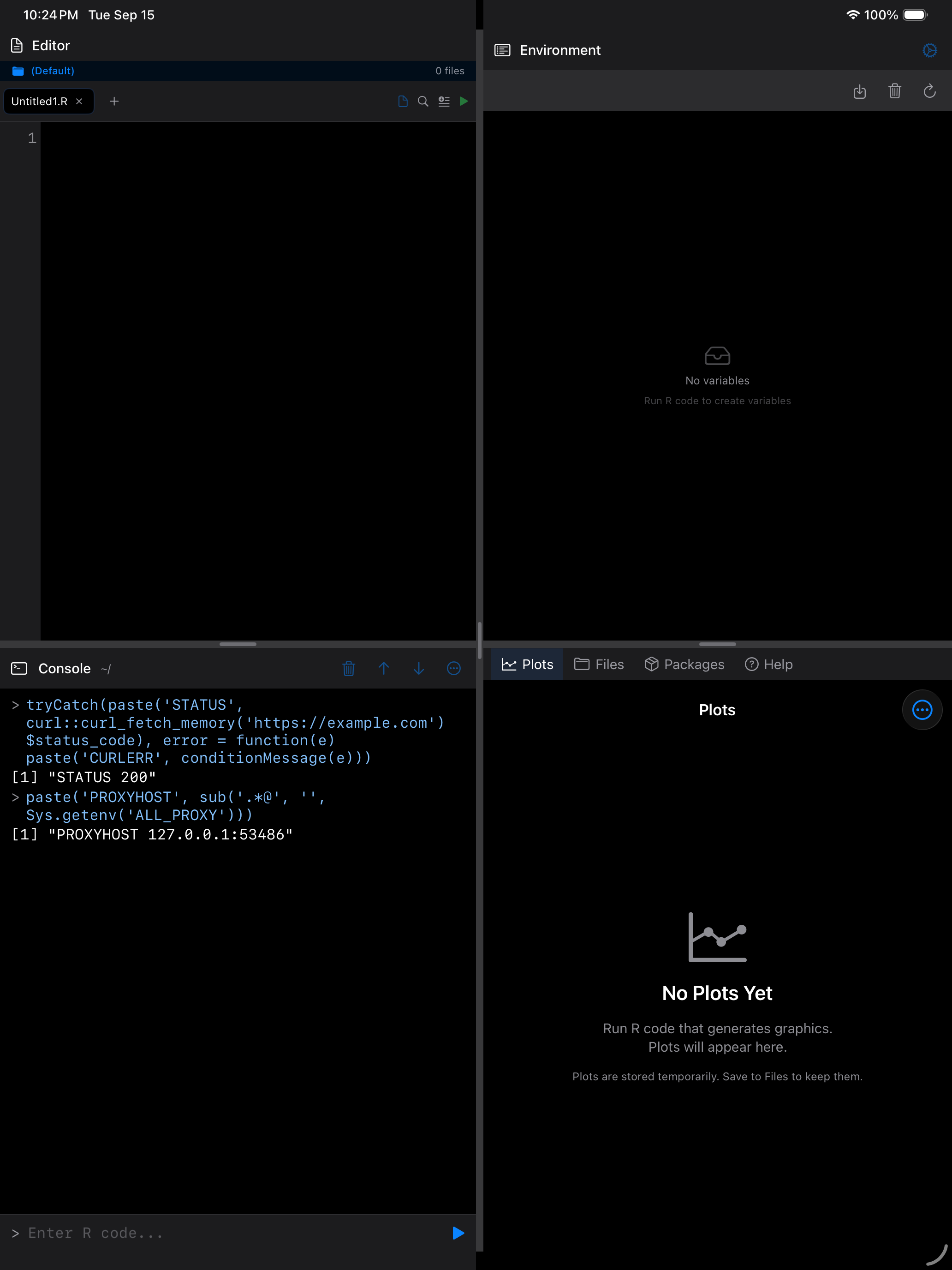 Console on iPad showing a successful request returning status 200 through the on-device proxy, in dark mode