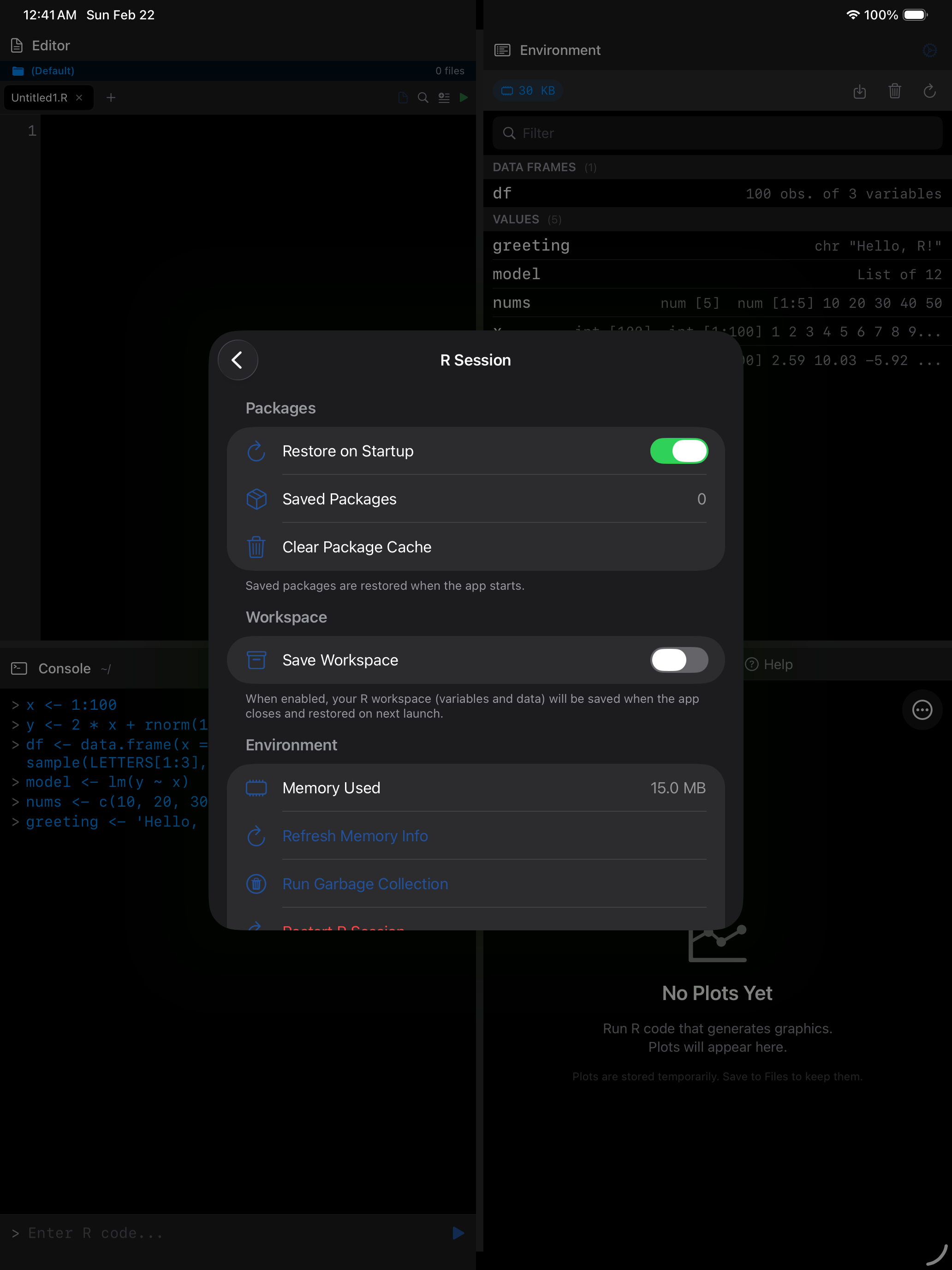 R Session settings on iPad