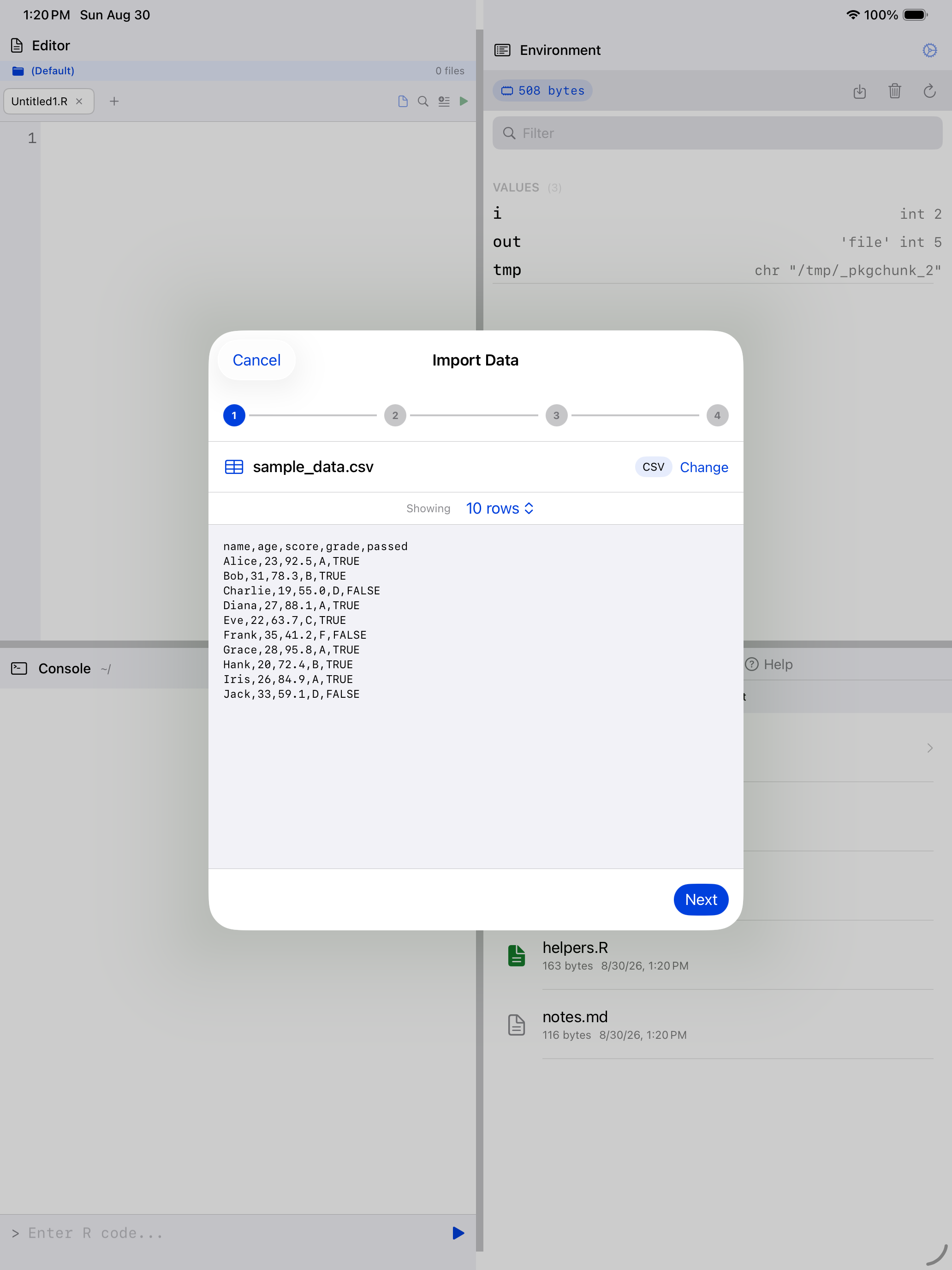Wizard showing detected format, row count and raw preview on iPad