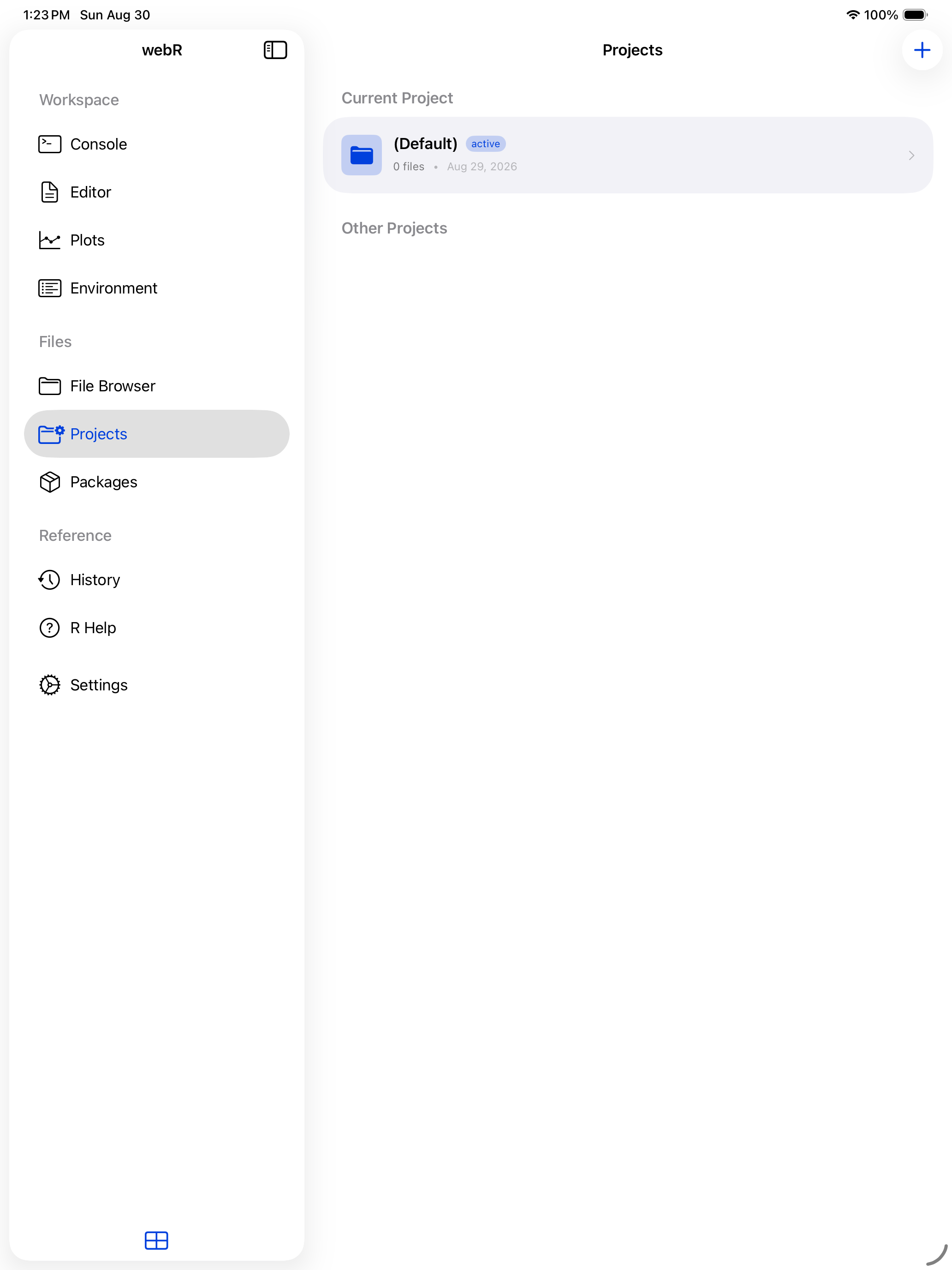 Projects tab showing the current project and project list on iPad