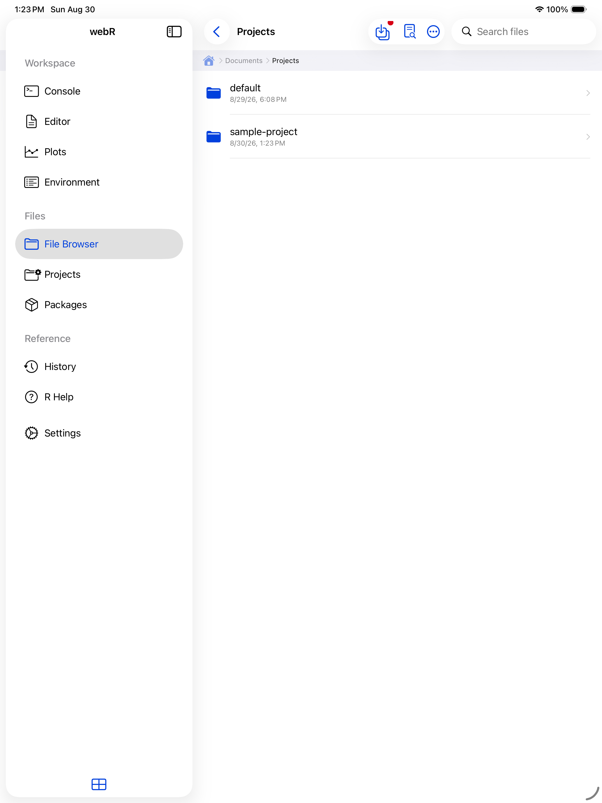 Documents Projects folder with one folder per project on iPad