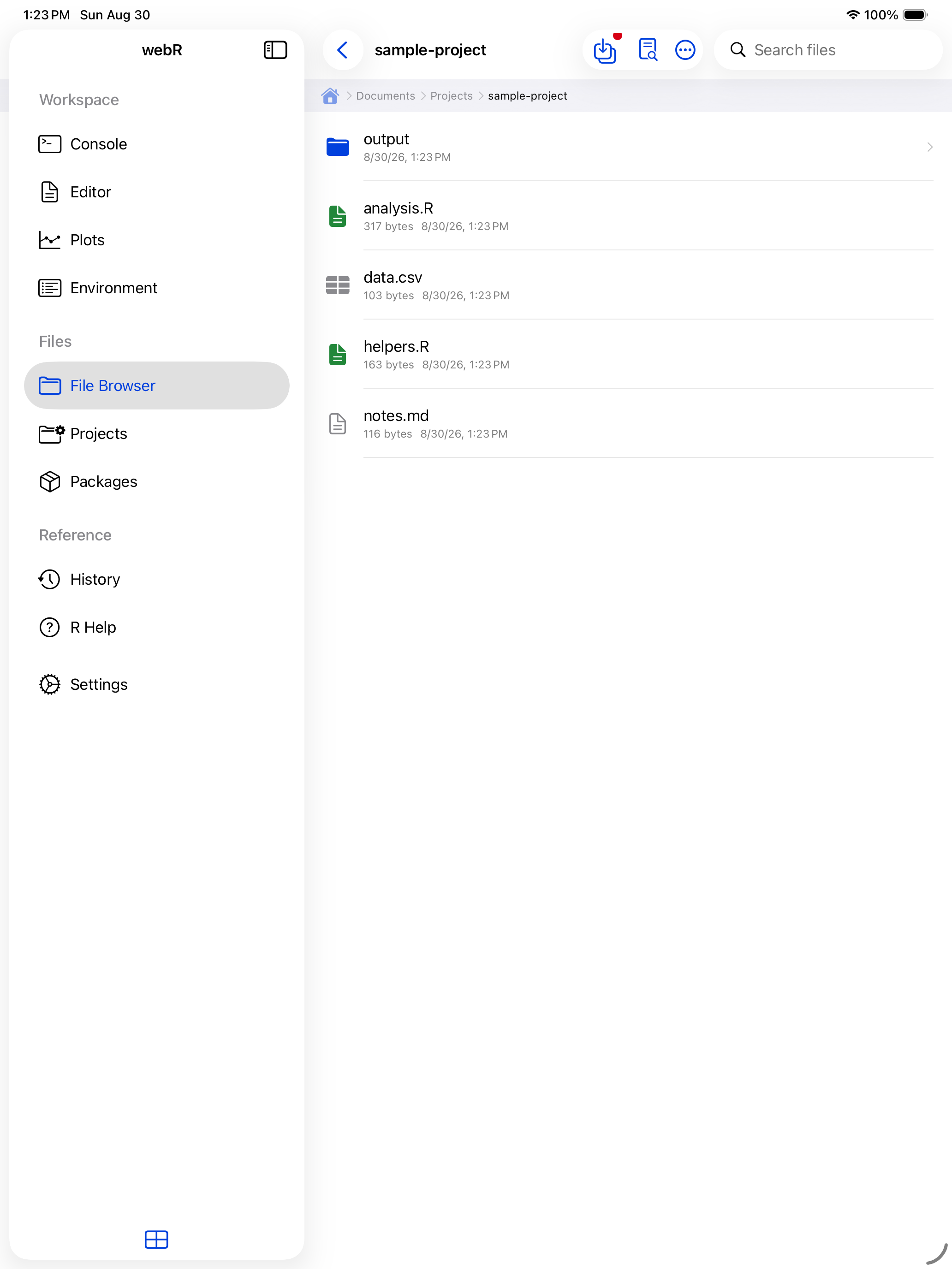 Contents inside a project folder showing scripts and data files on iPad