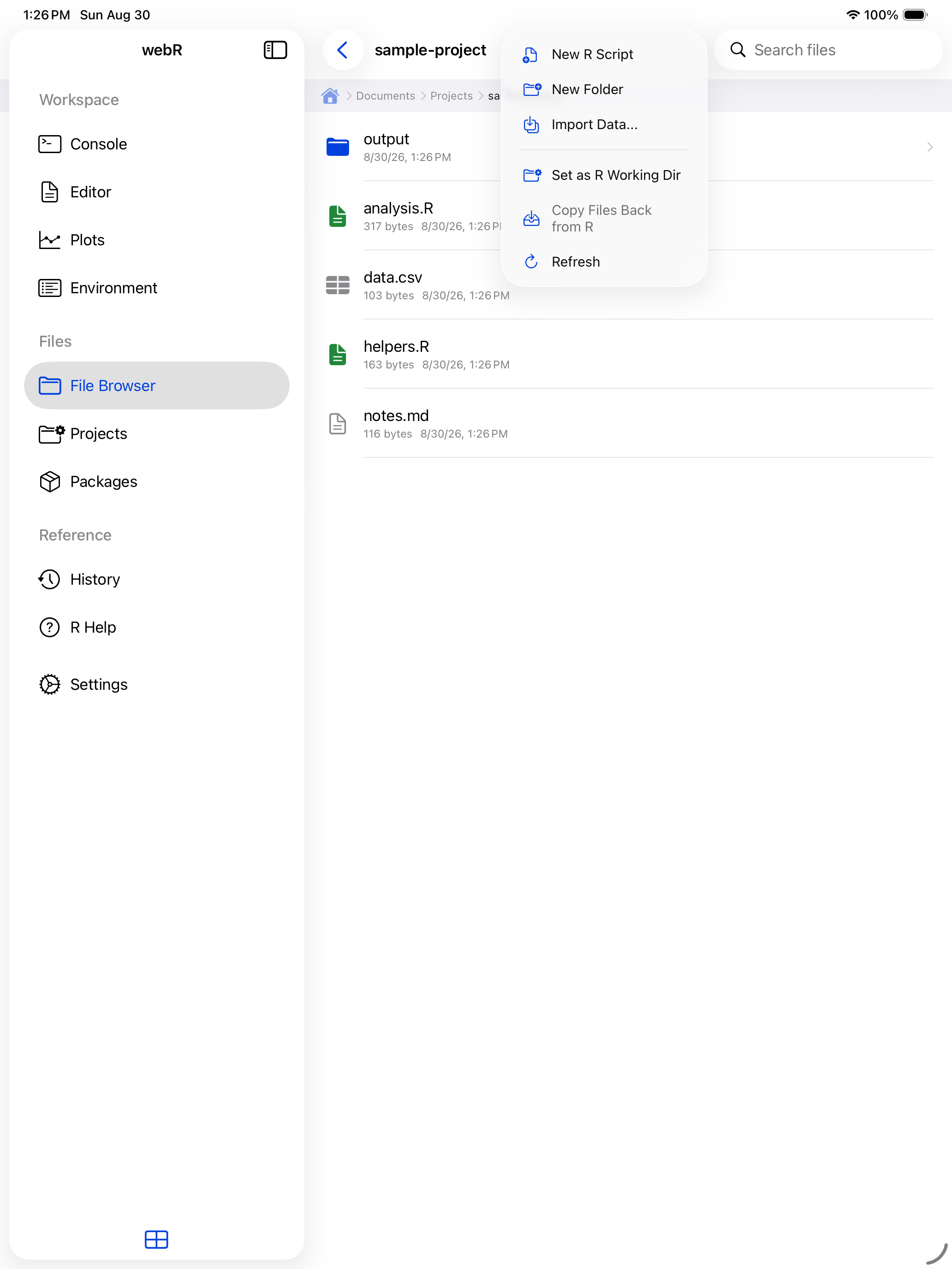 Files overflow menu showing Set as R Working Dir on iPad