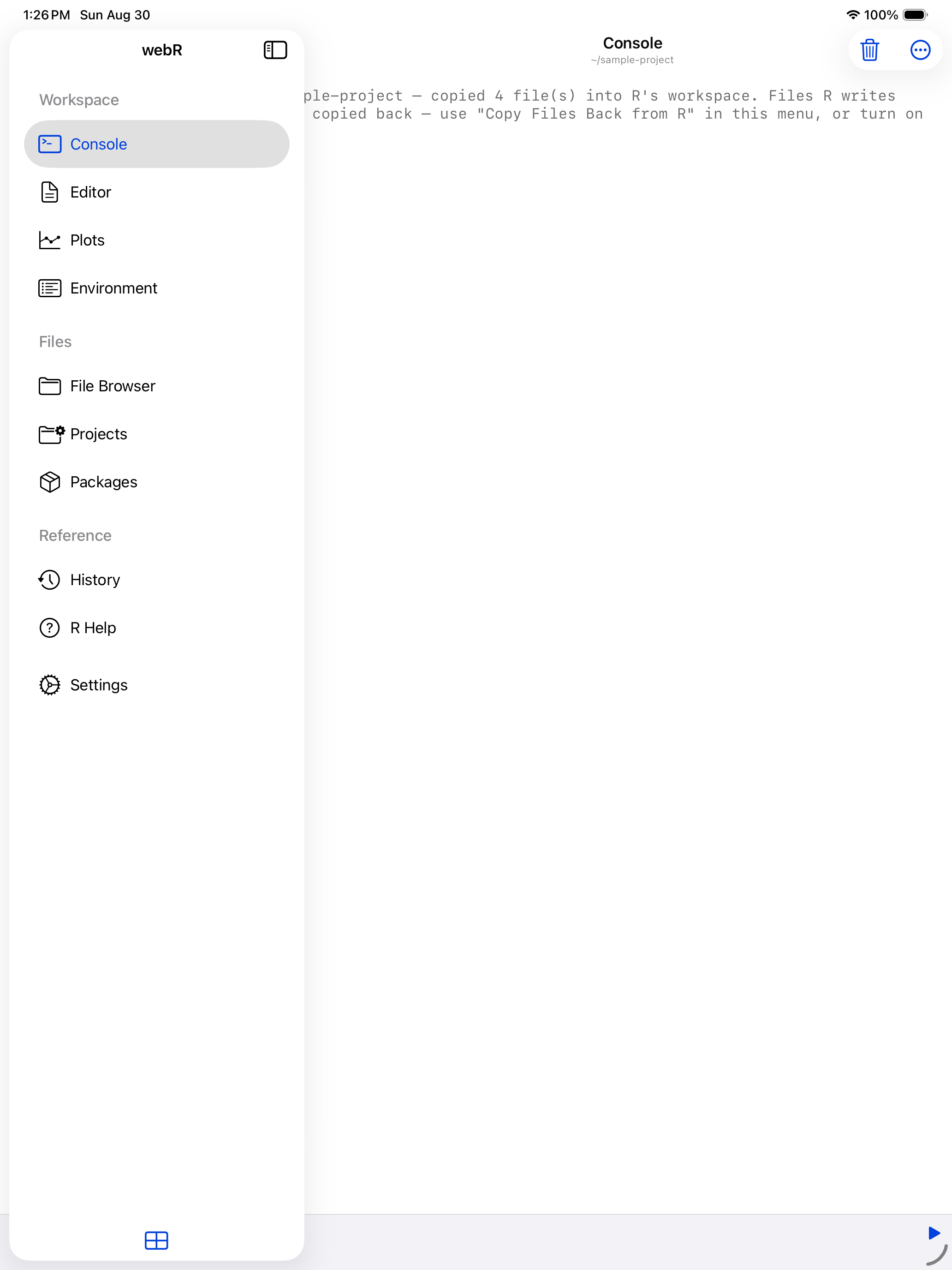 Console header showing the updated working directory on iPad