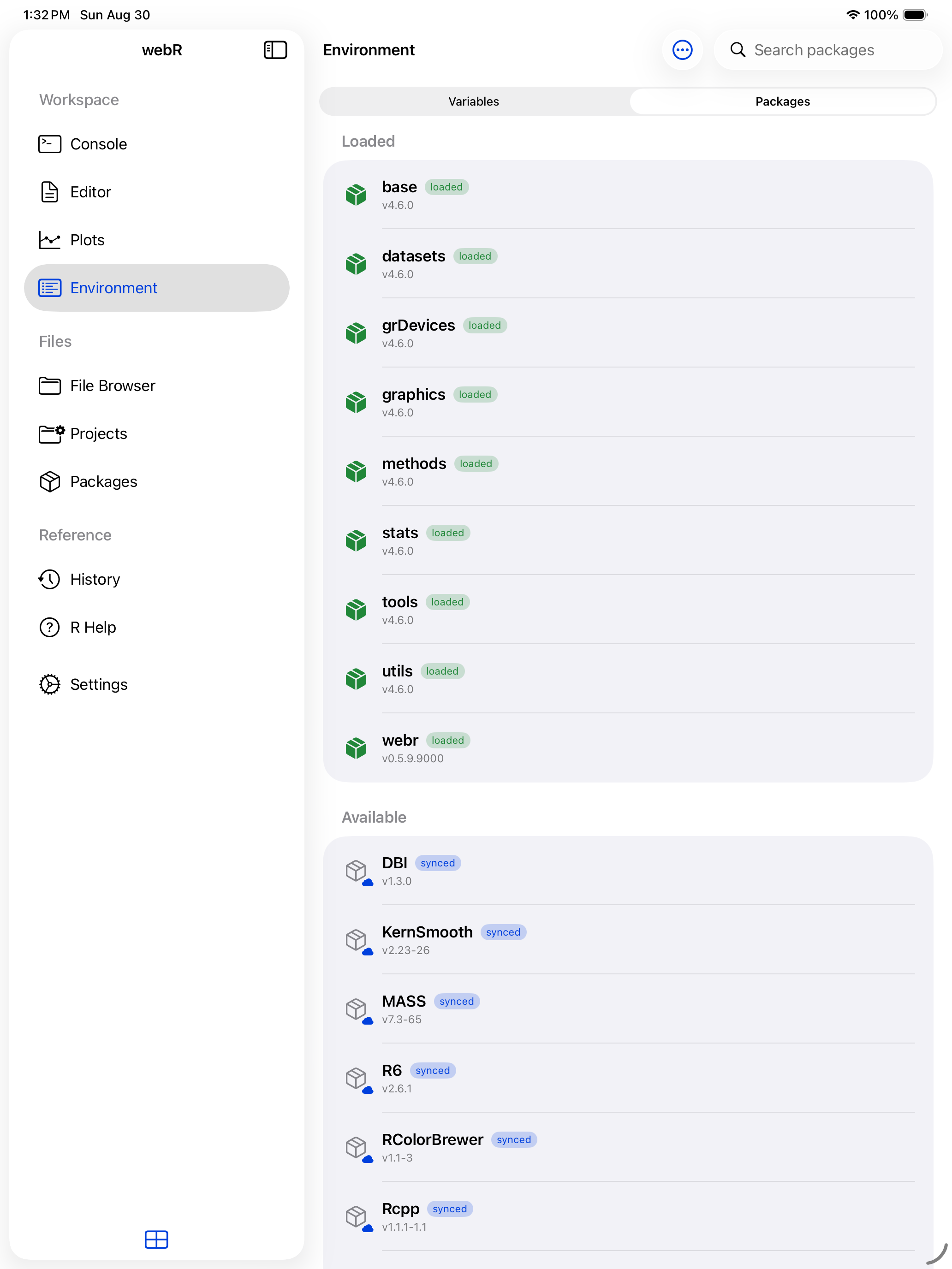 Loaded package with a green icon and loaded badge on iPad