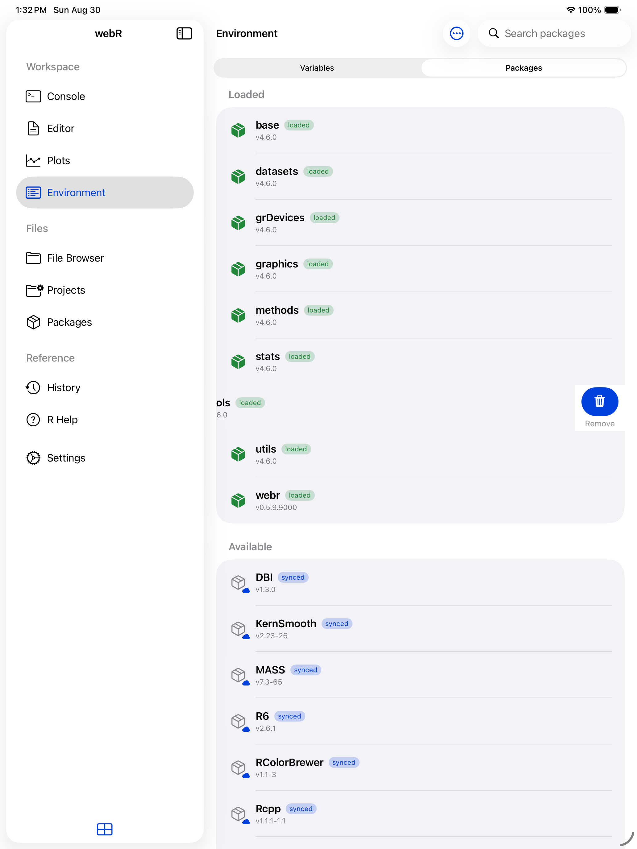 Package row swiped left revealing the Remove button on iPad