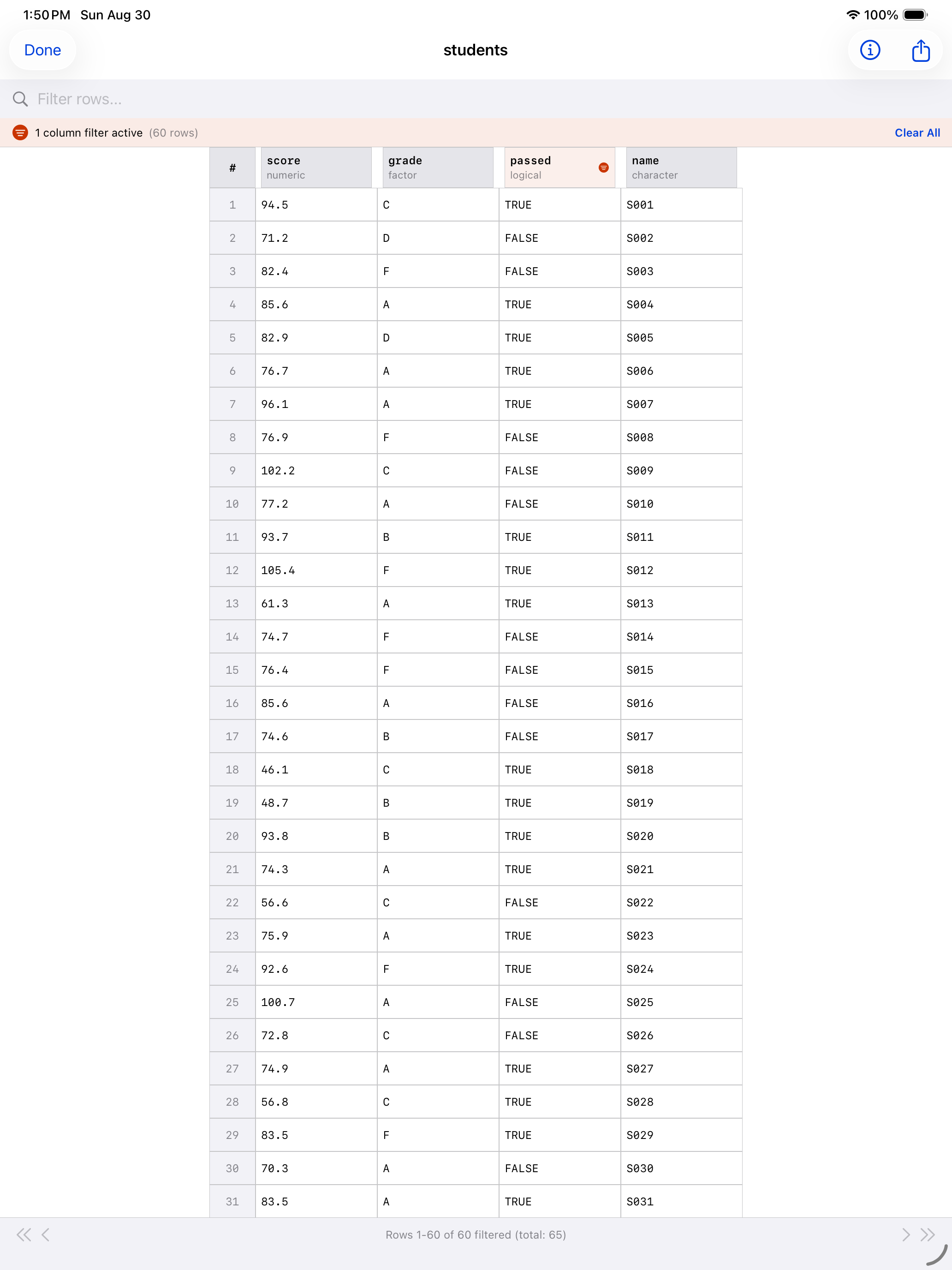 Data Frame Viewer showing the active filter status bar on iPad