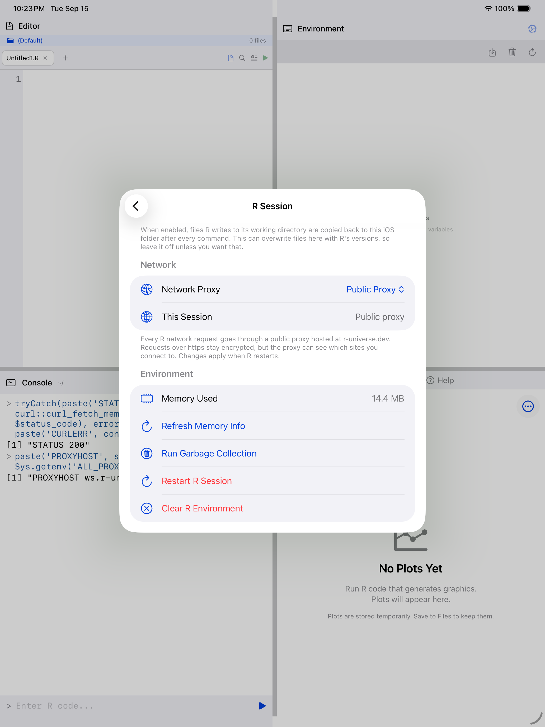 R Session settings on iPad with Network Proxy set to Public Proxy