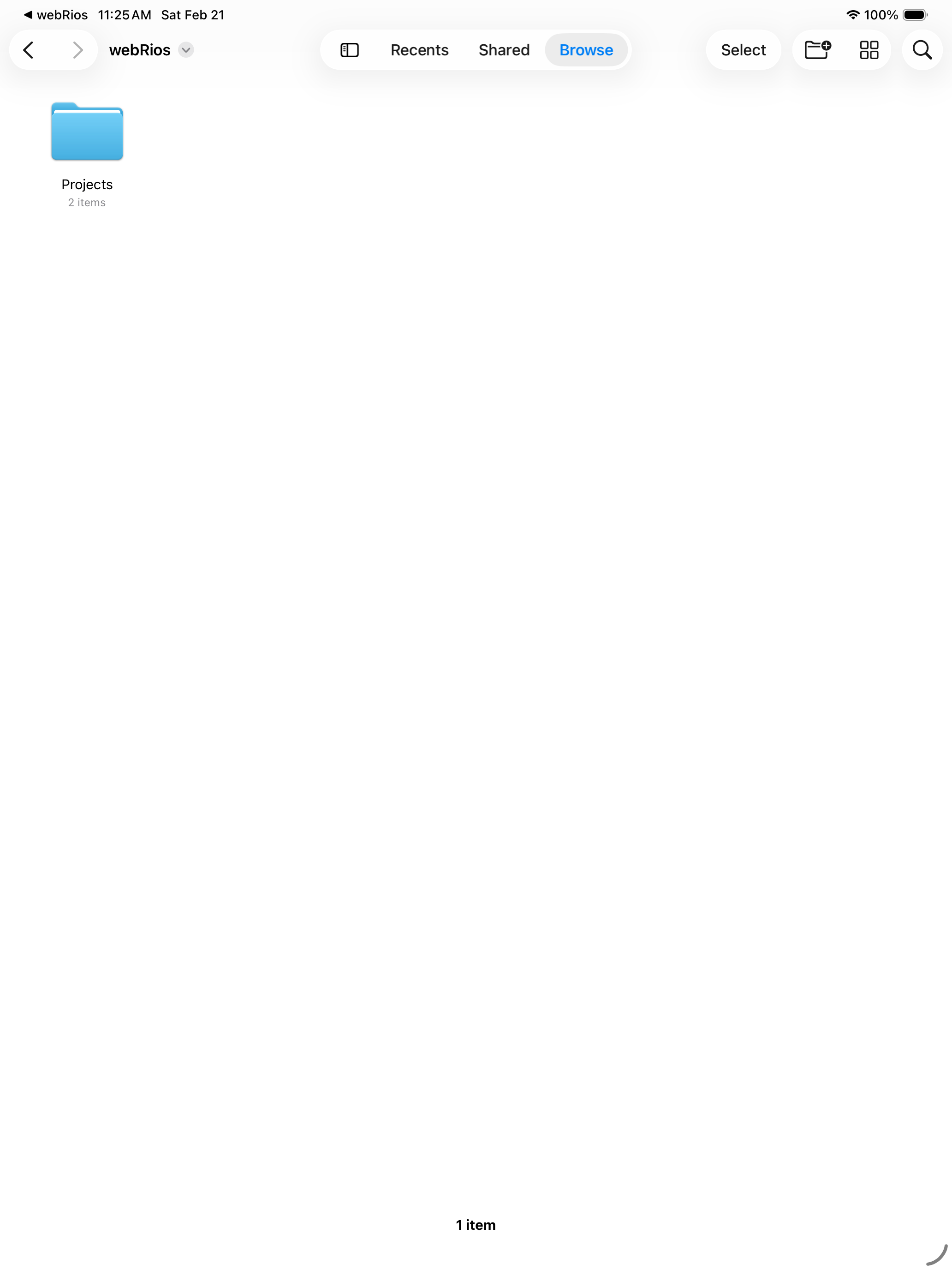 iOS Files app showing webRios container with Projects folder on iPad