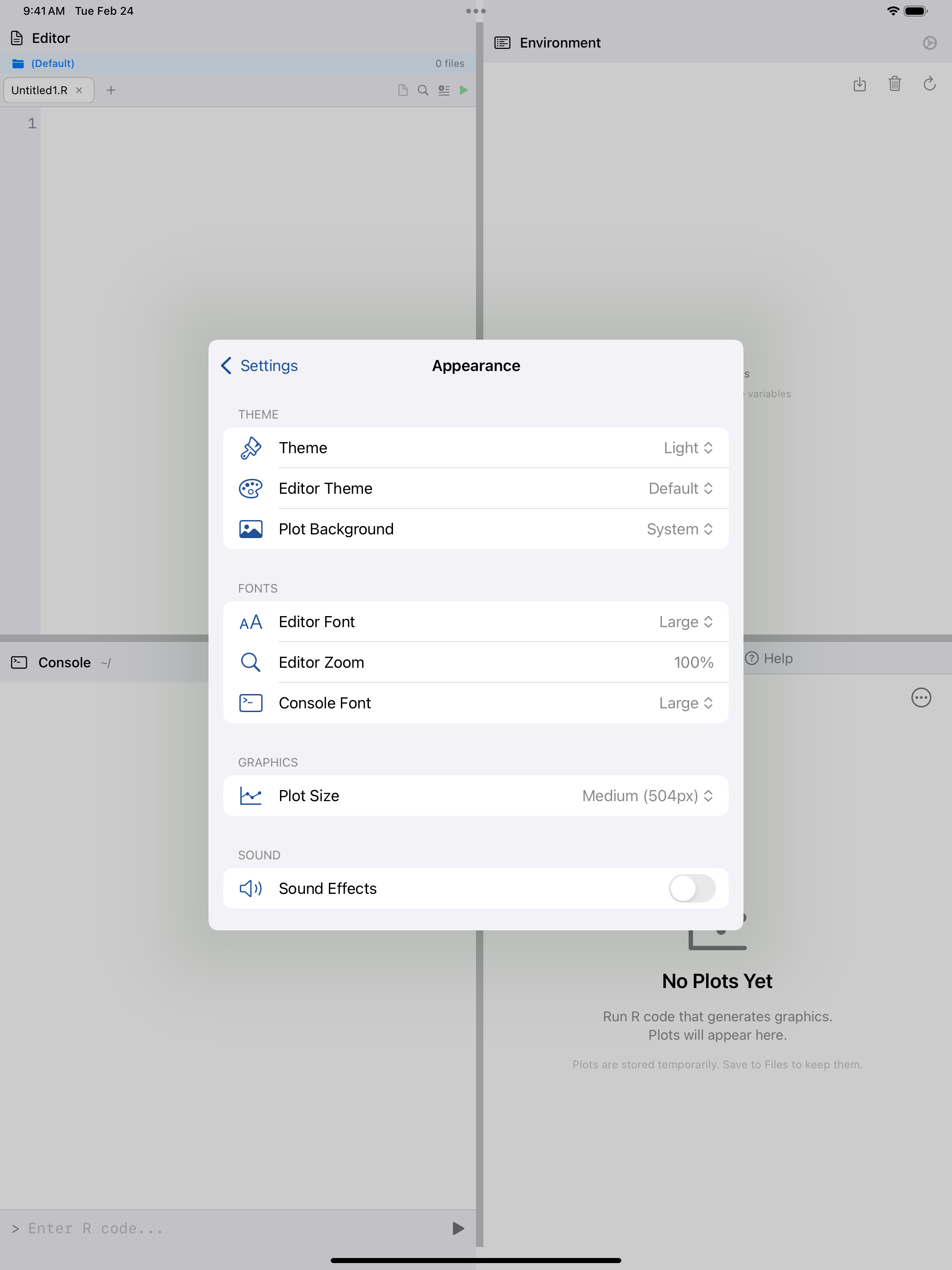 Appearance settings on iPad