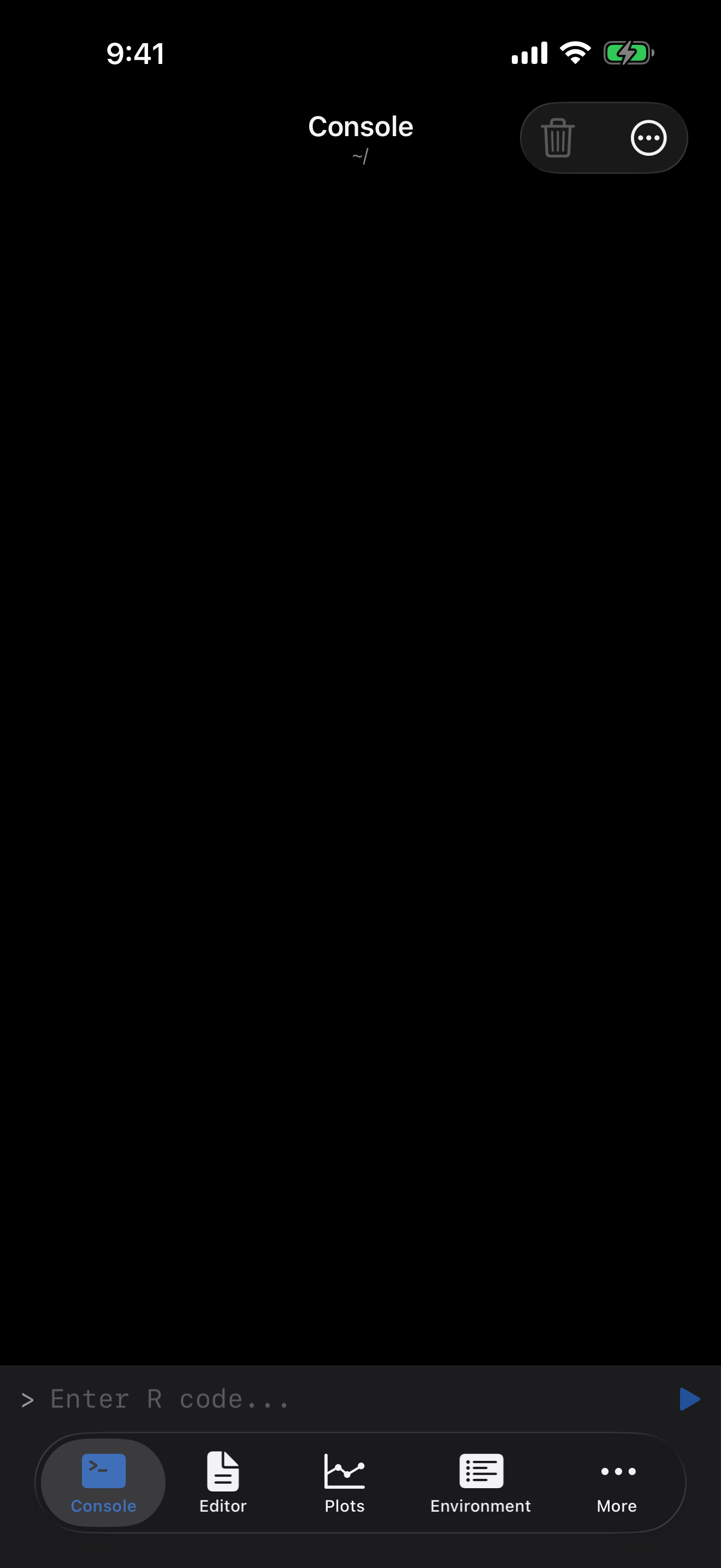 Empty console ready for input on iPhone