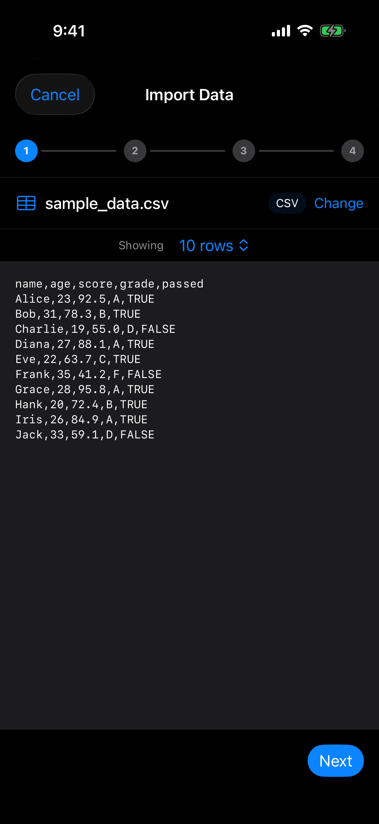 Wizard showing detected format, row count and raw preview on iPhone in dark mode