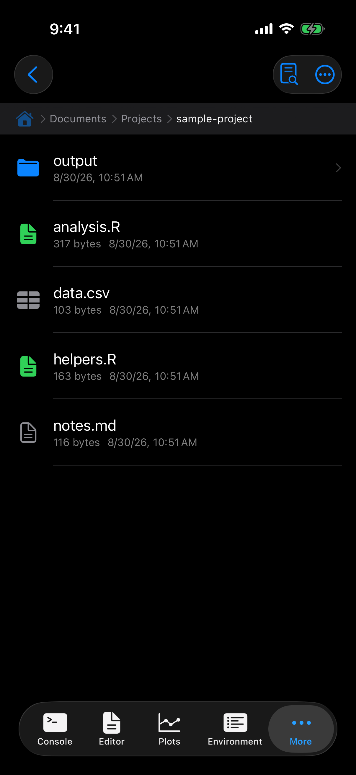 Contents inside a project folder showing scripts and data files on iPhone in dark mode