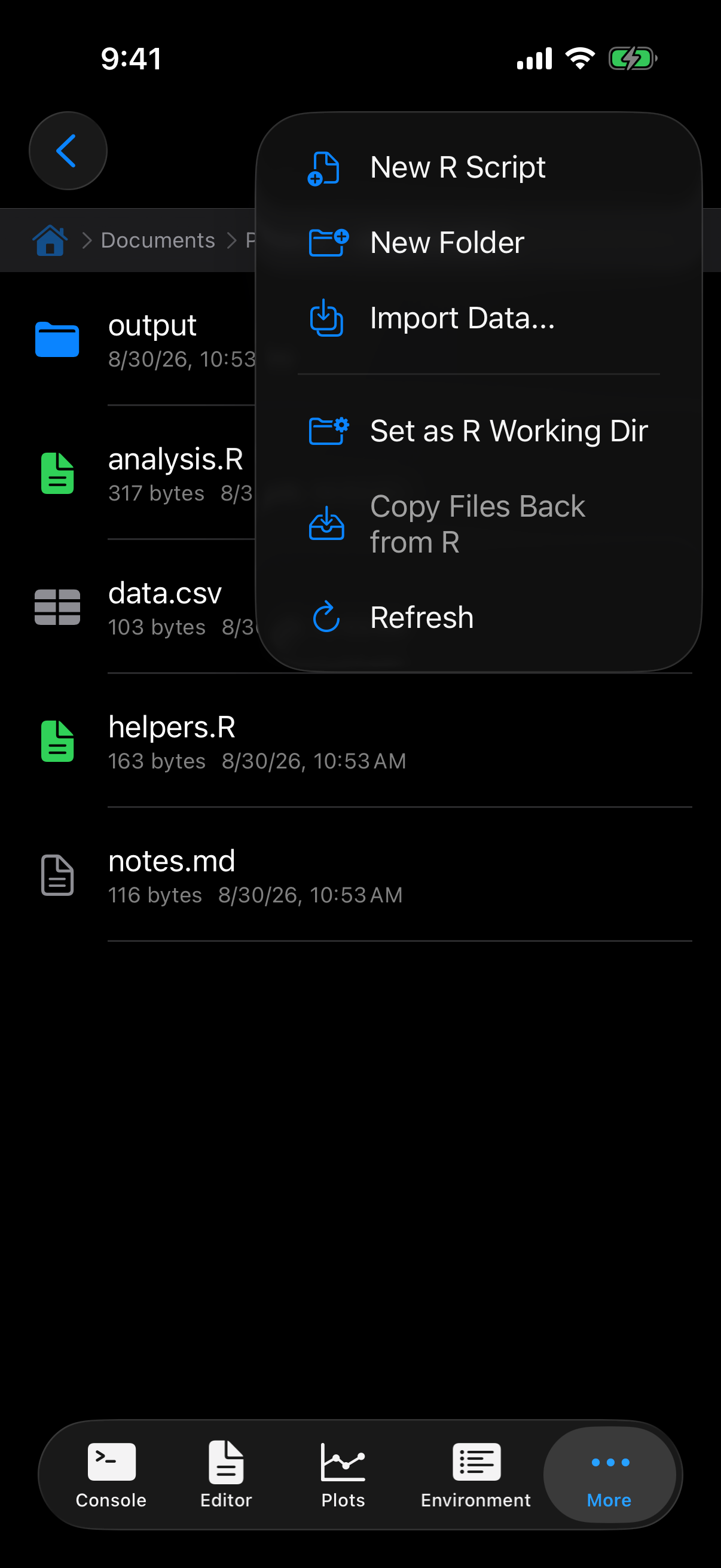 Files overflow menu showing Set as R Working Dir on iPhone in dark mode