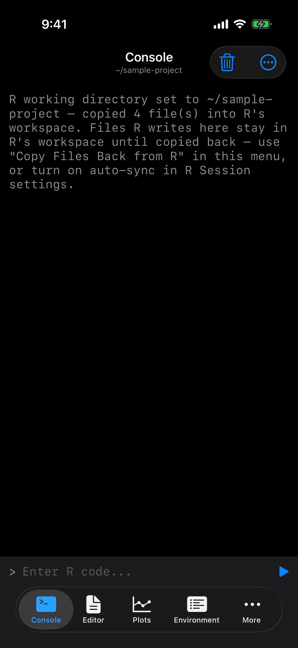 Console header showing the updated working directory on iPhone in dark mode