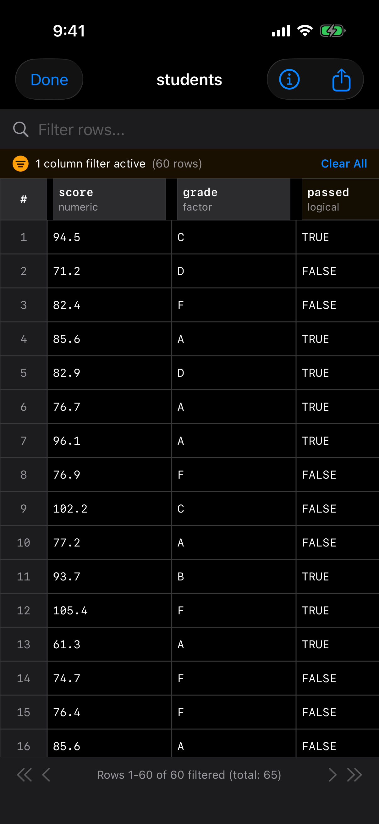 Data Frame Viewer showing the active filter status bar on iPhone in dark mode