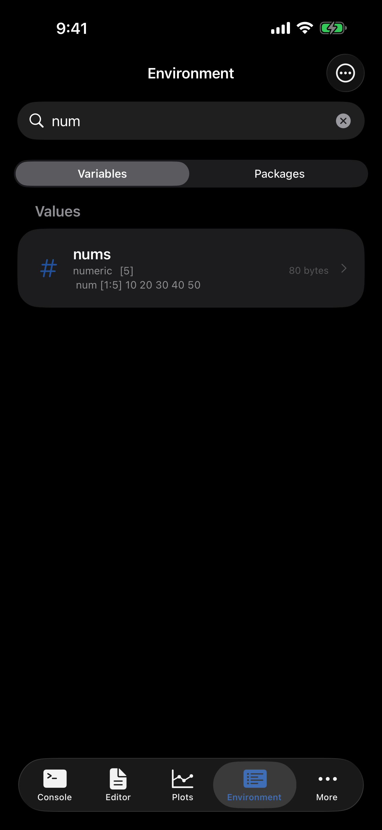 Environment tab on iPhone in dark mode with search bar filtering variables