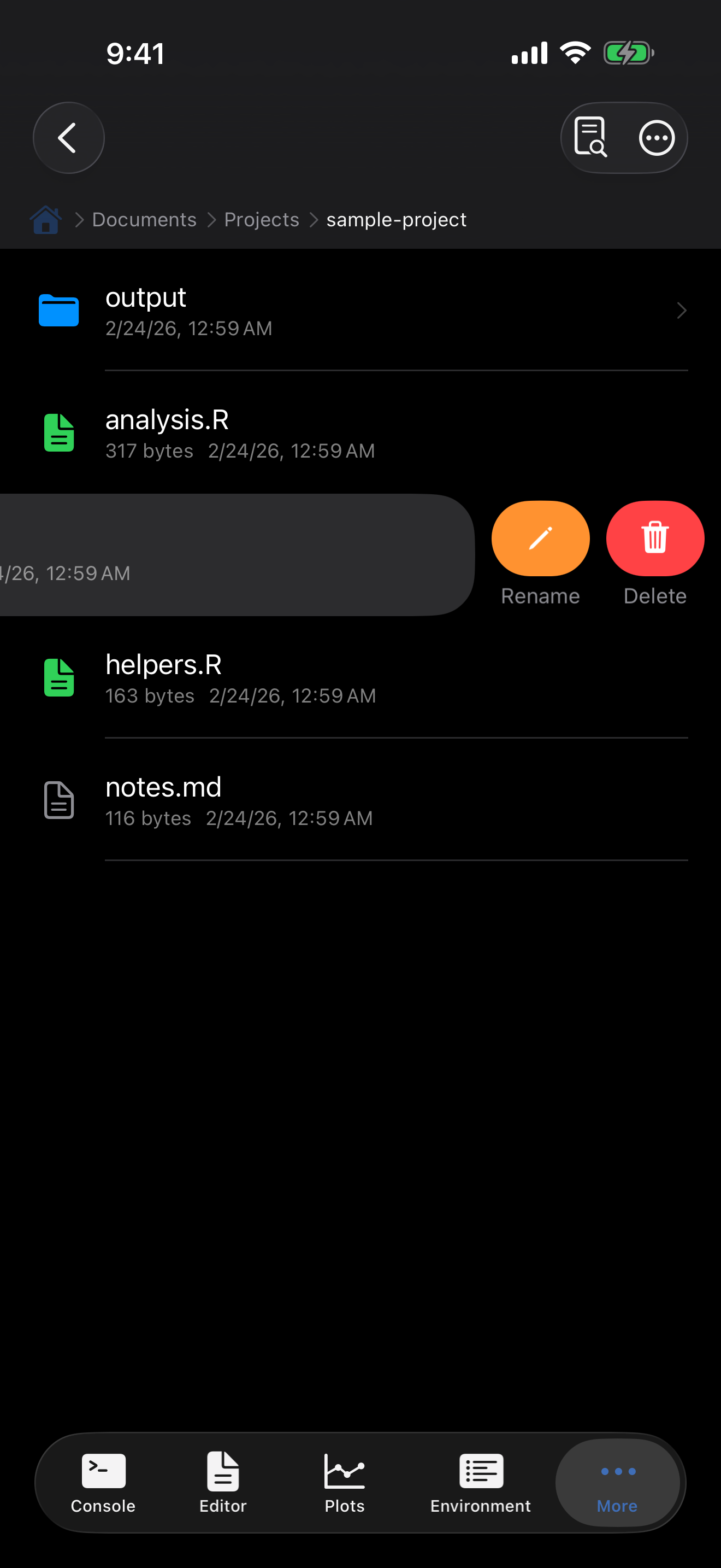 Swipe actions showing Delete and Rename buttons on iPhone in dark mode