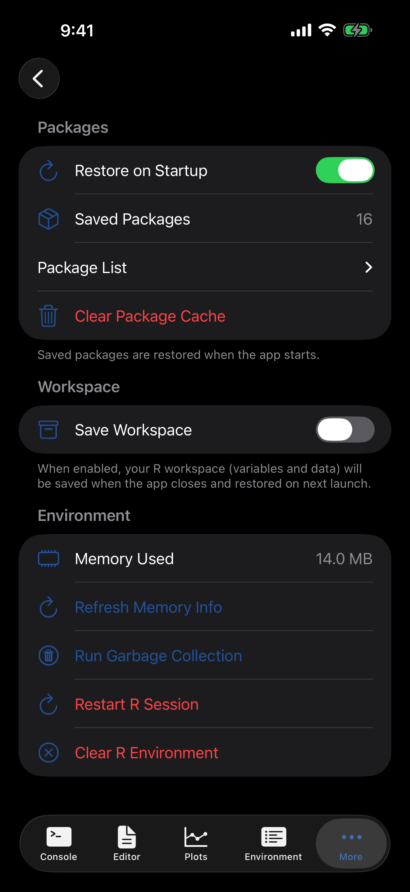 R Session settings on iPhone
