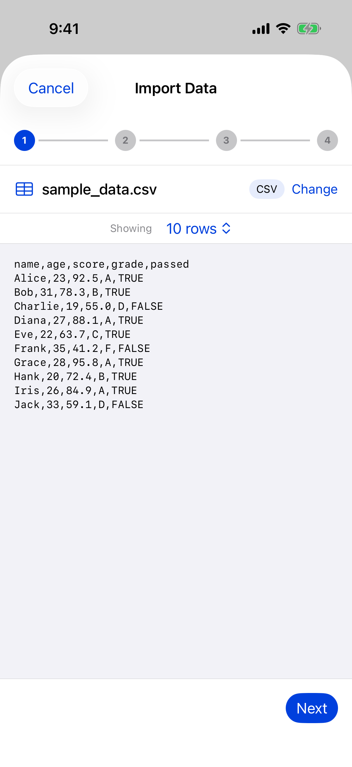 Wizard showing detected format, row count and raw preview on iPhone