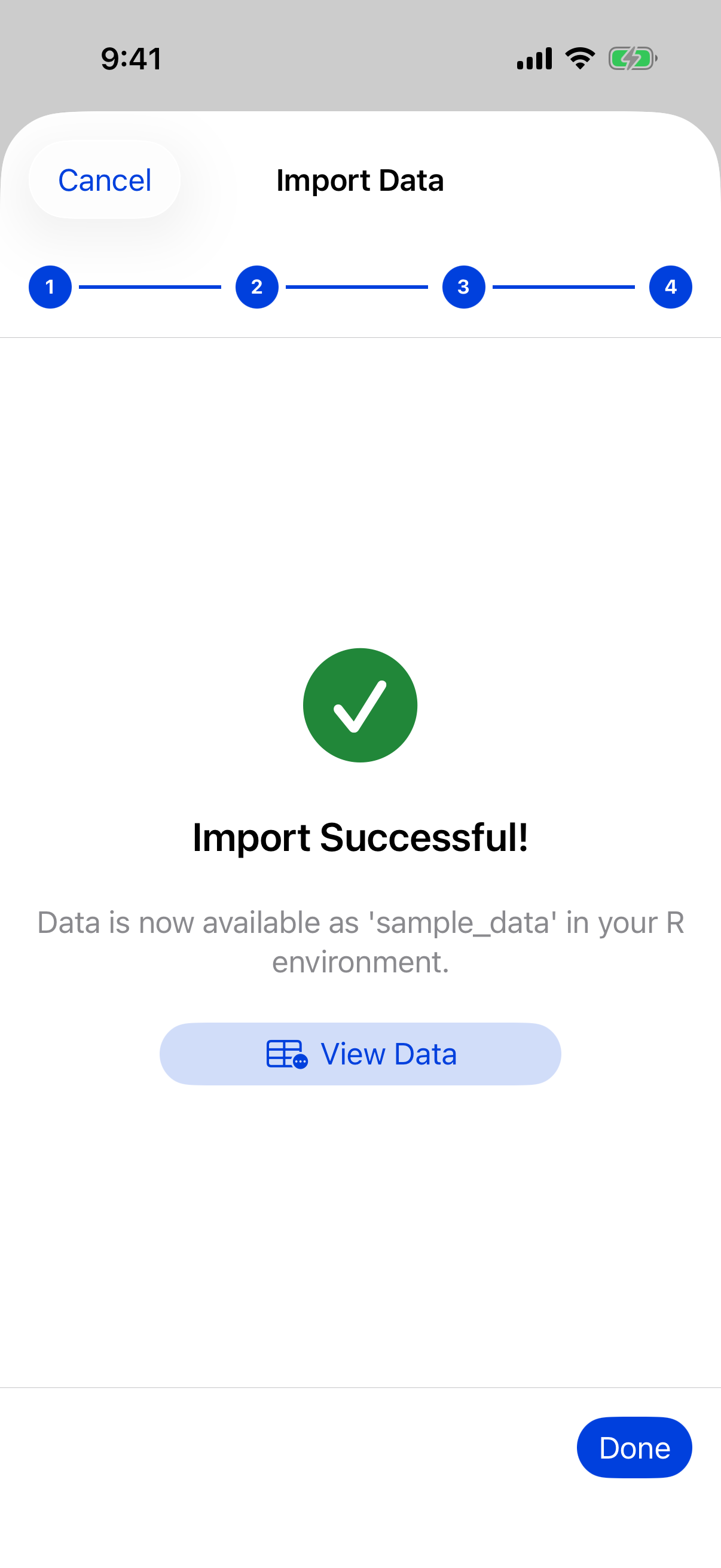 Wizard import success with the View Data button on iPhone