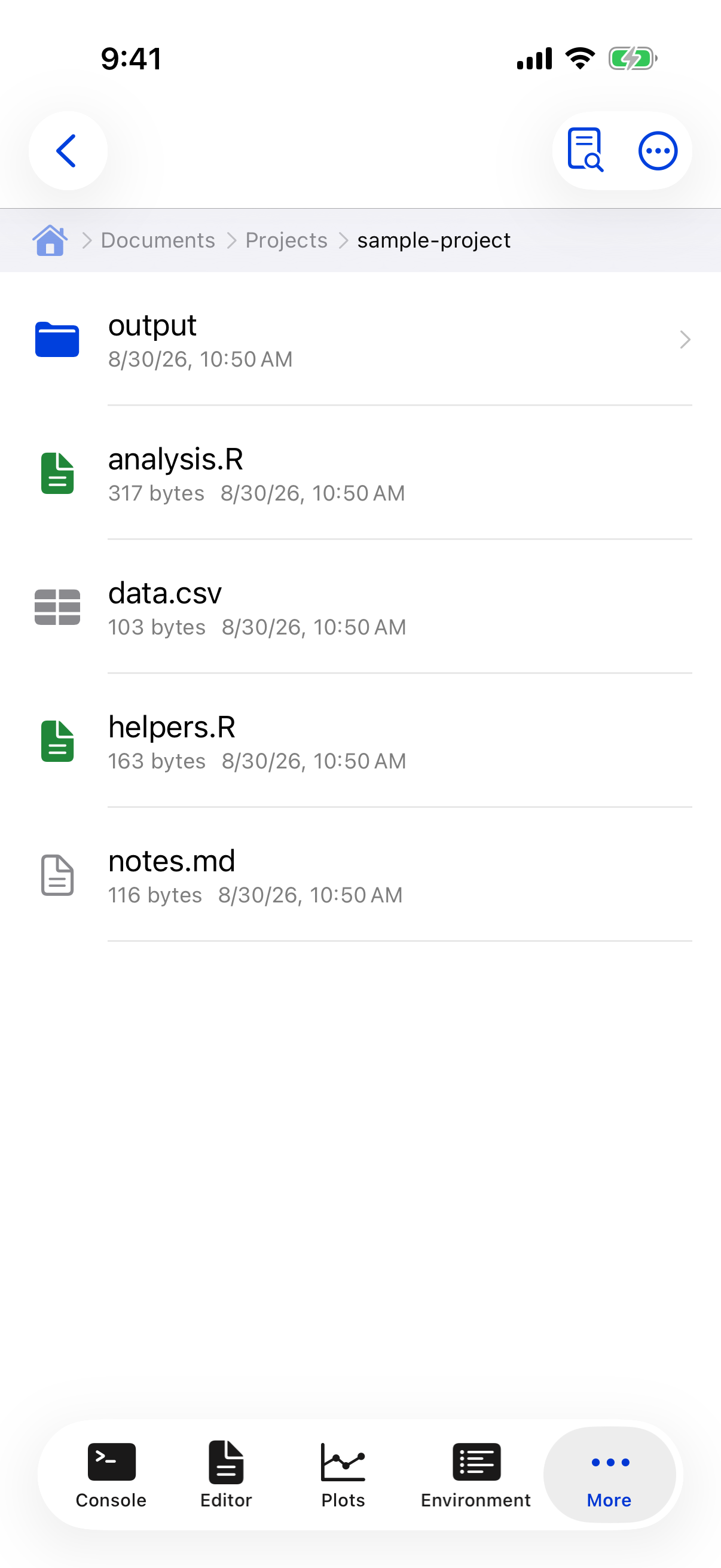 Contents inside a project folder showing scripts and data files on iPhone
