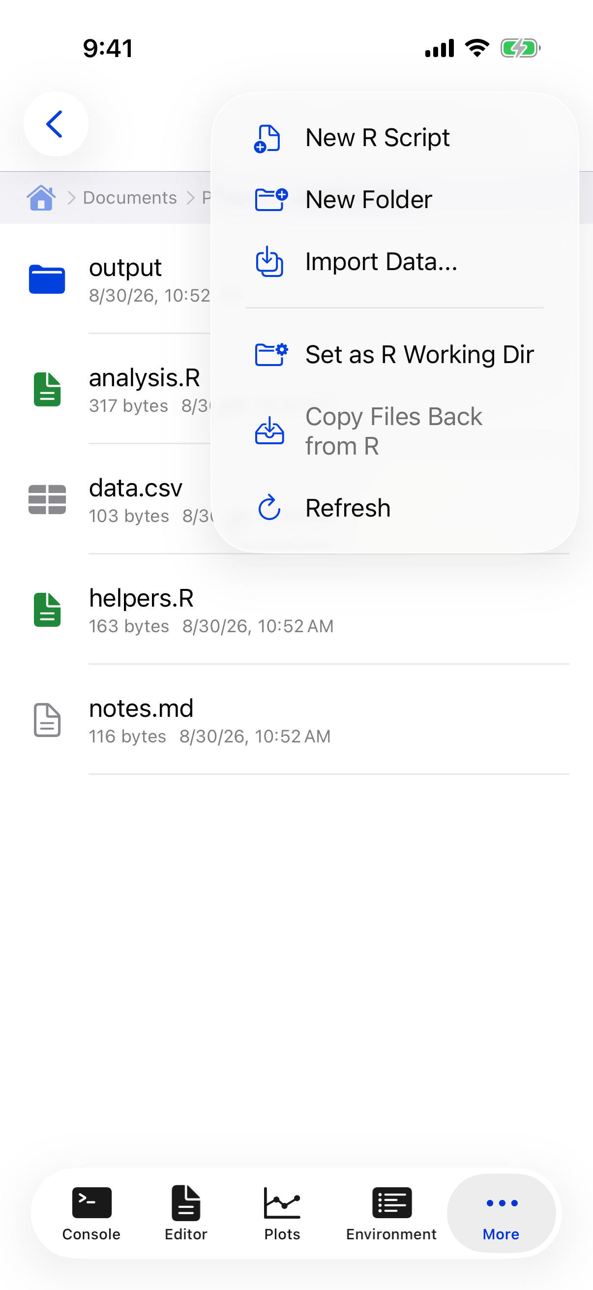 Files overflow menu showing Set as R Working Dir on iPhone