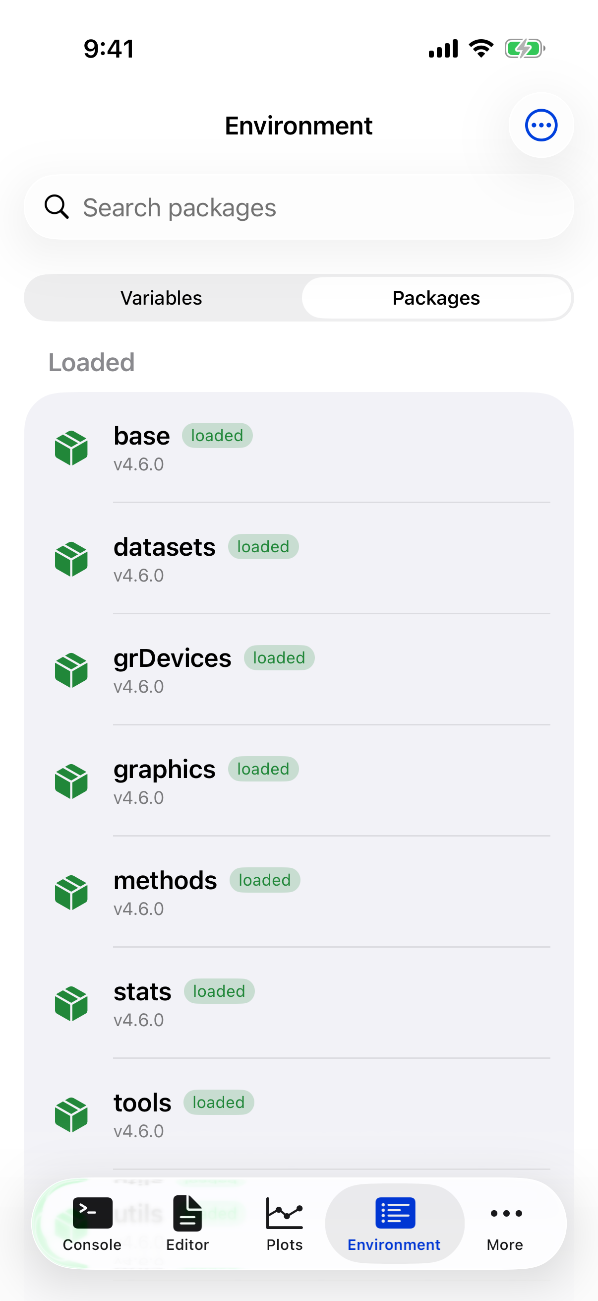 Loaded package with a green icon and loaded badge on iPhone