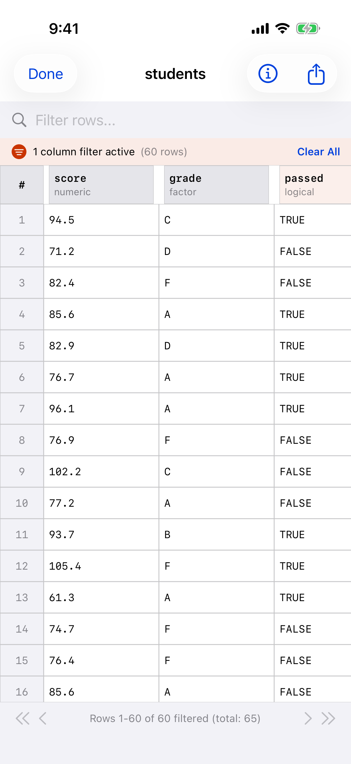 Data Frame Viewer showing the active filter status bar on iPhone