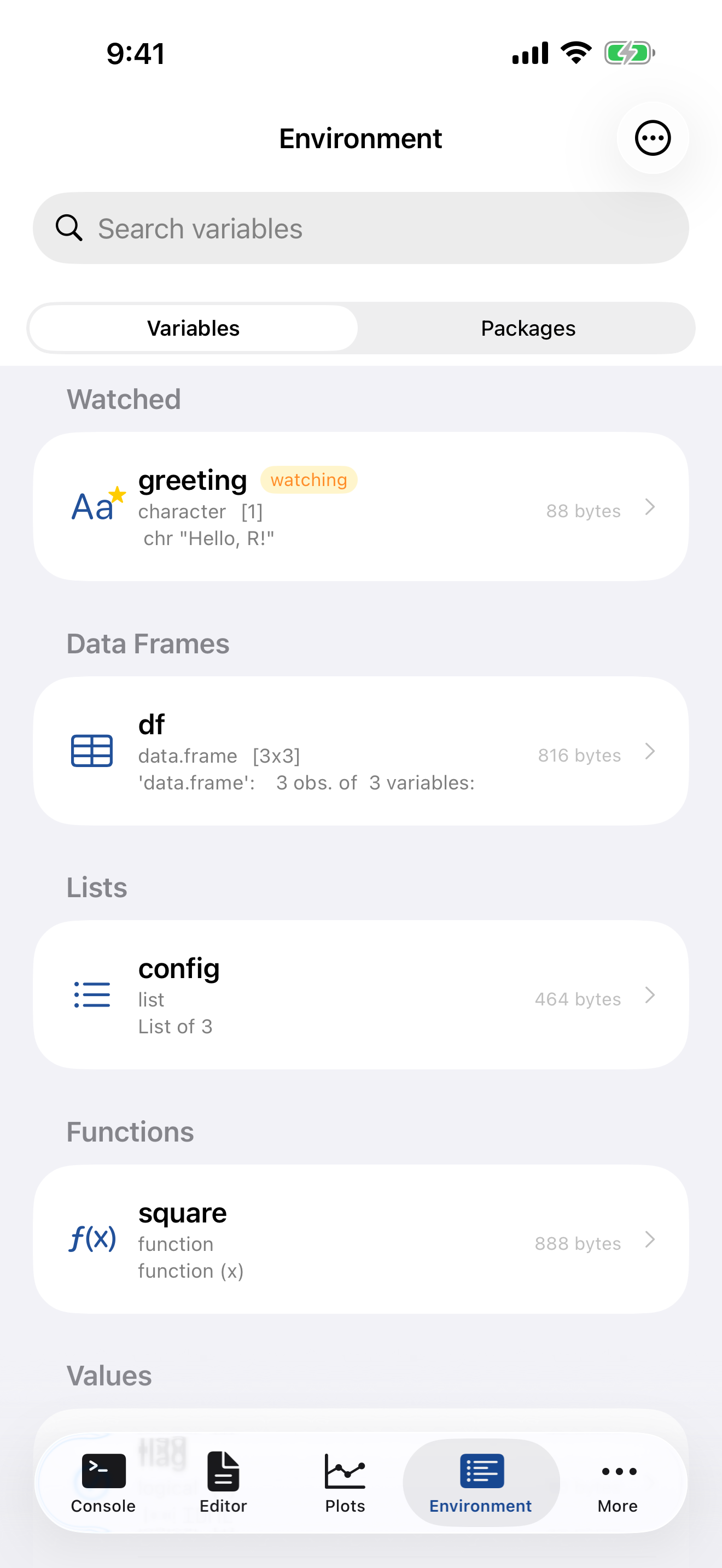 Environment tab on iPhone showing variables grouped by type with names, classes, sizes, and previews