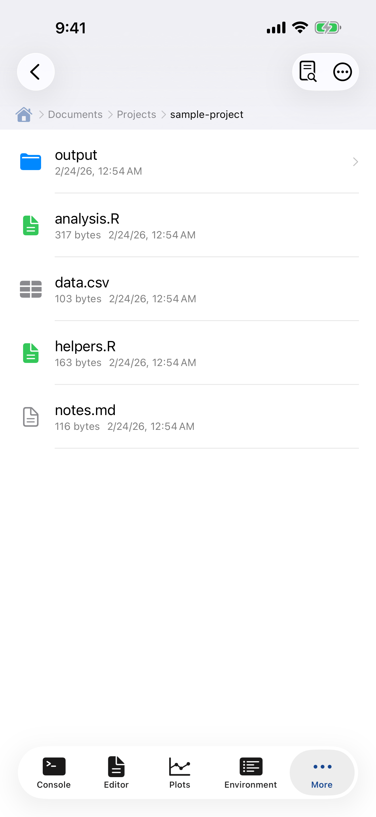 Files tab on iPhone showing R scripts, CSV data, markdown, and folders