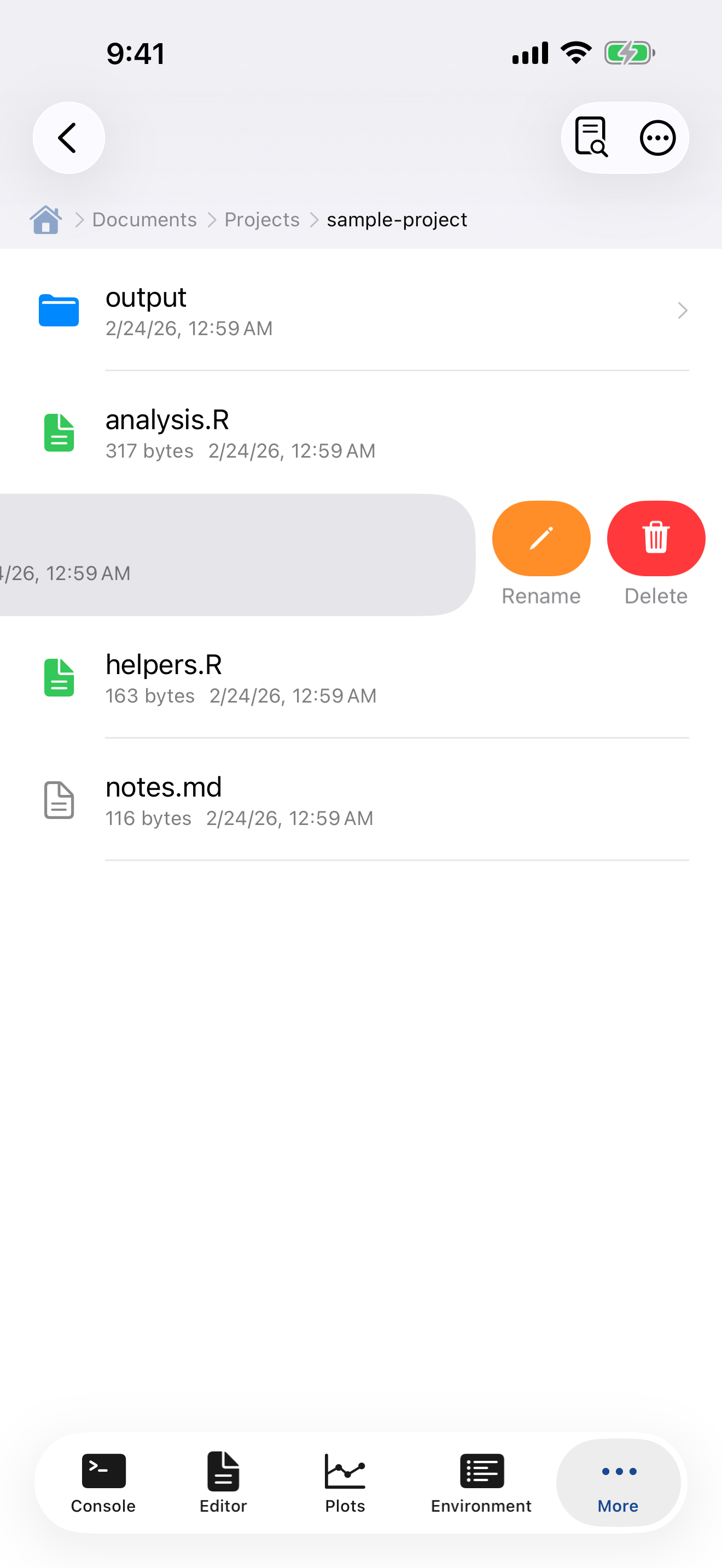 Swipe actions showing Delete and Rename buttons on iPhone
