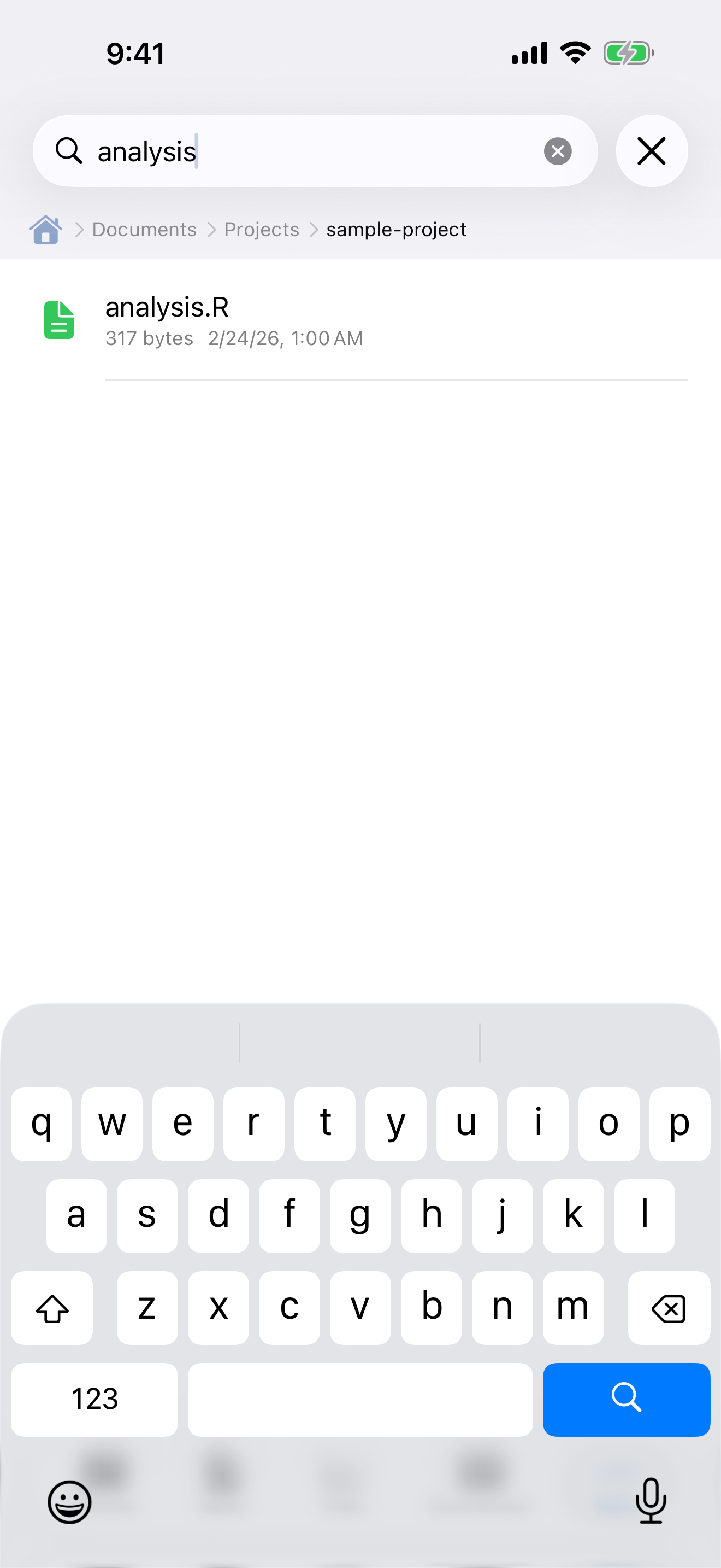 File search filtering results on iPhone