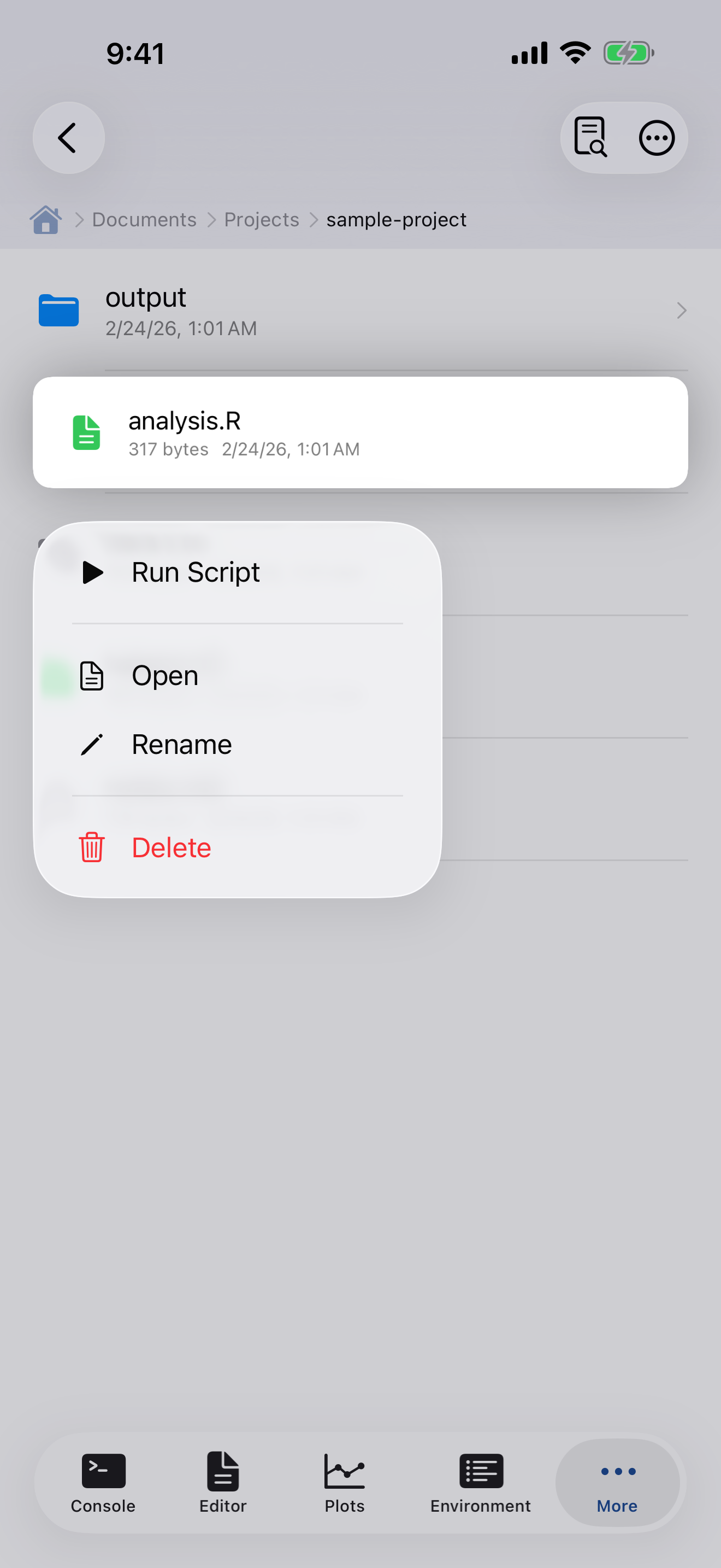 Long-press context menu on R script showing Run Script option on iPhone
