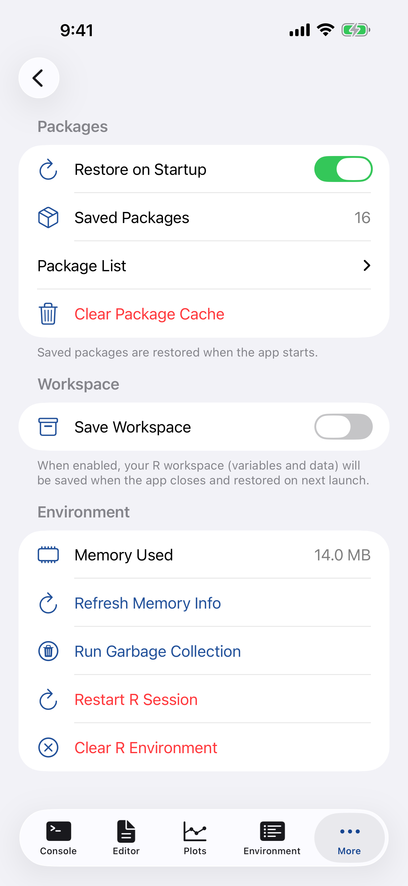 R Session settings on iPhone